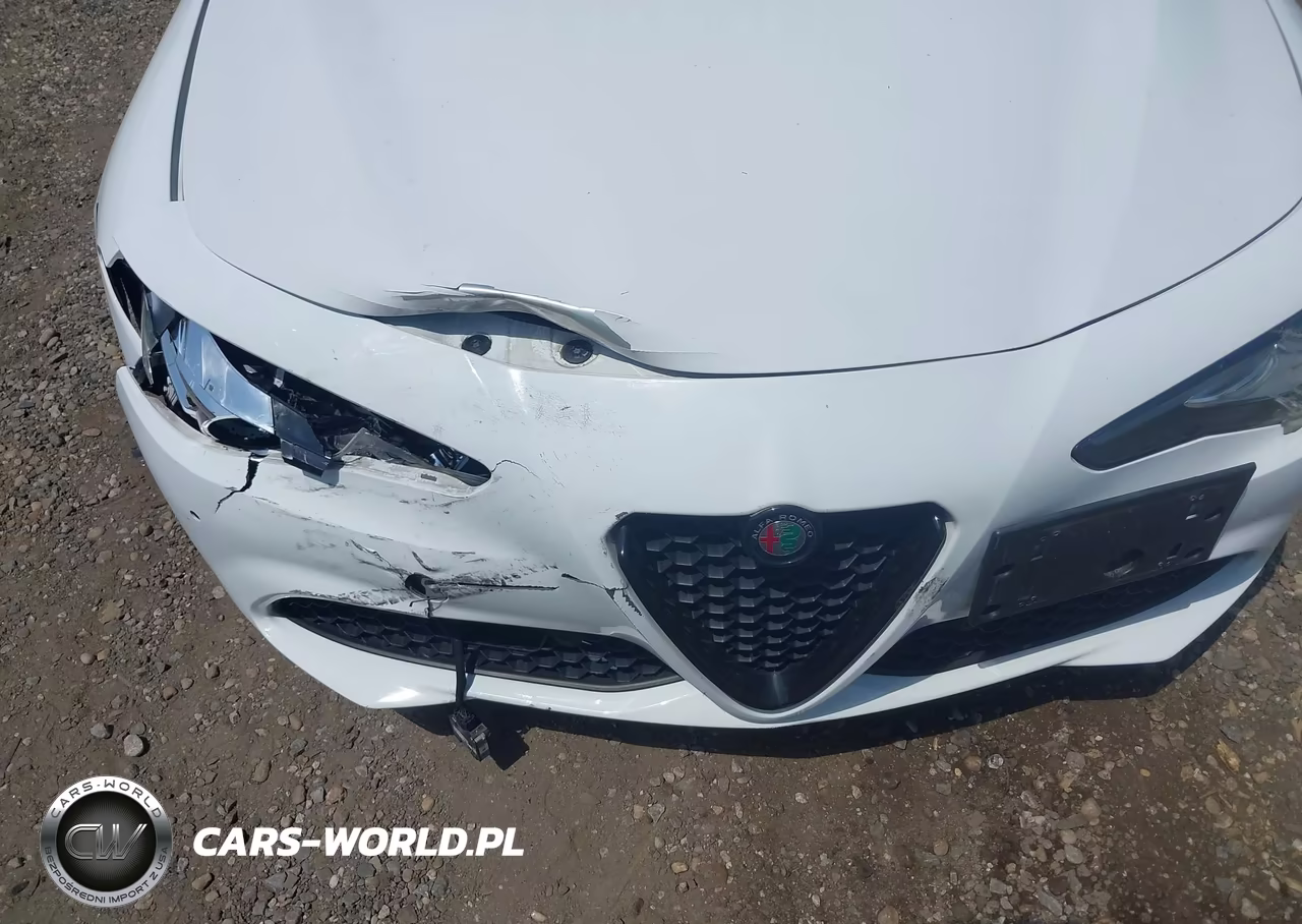 2019 Alfa Romeo Giulia Ti Awd VIN:ZARFANBN9K7622190 - 6