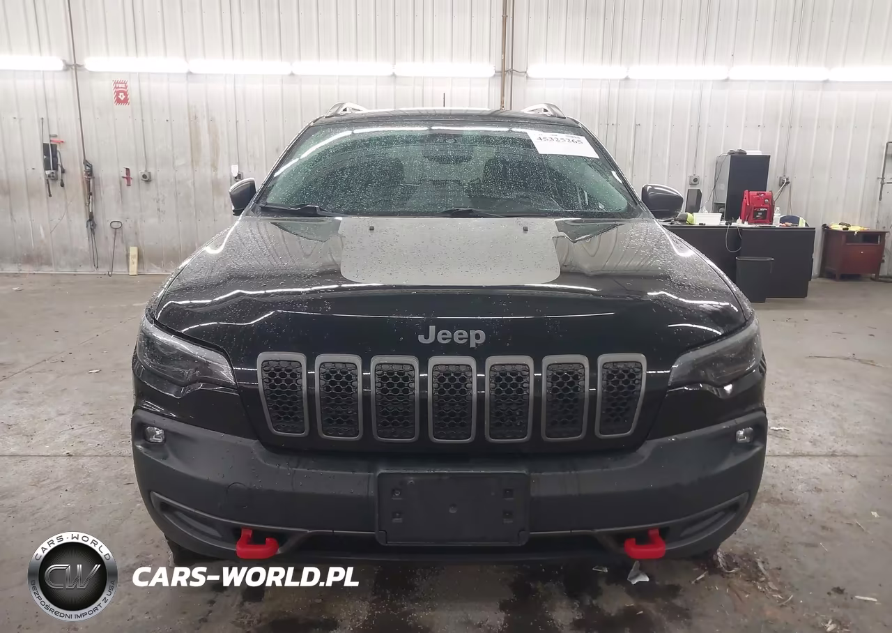 2019 Jeep Cherokee Trailhawk 4X4 VIN:1C4PJMBX0KD161974 - 12