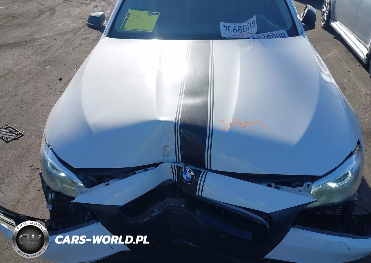 2016 BMW 528I VIN:WBA5A5C52GG353085 - 10