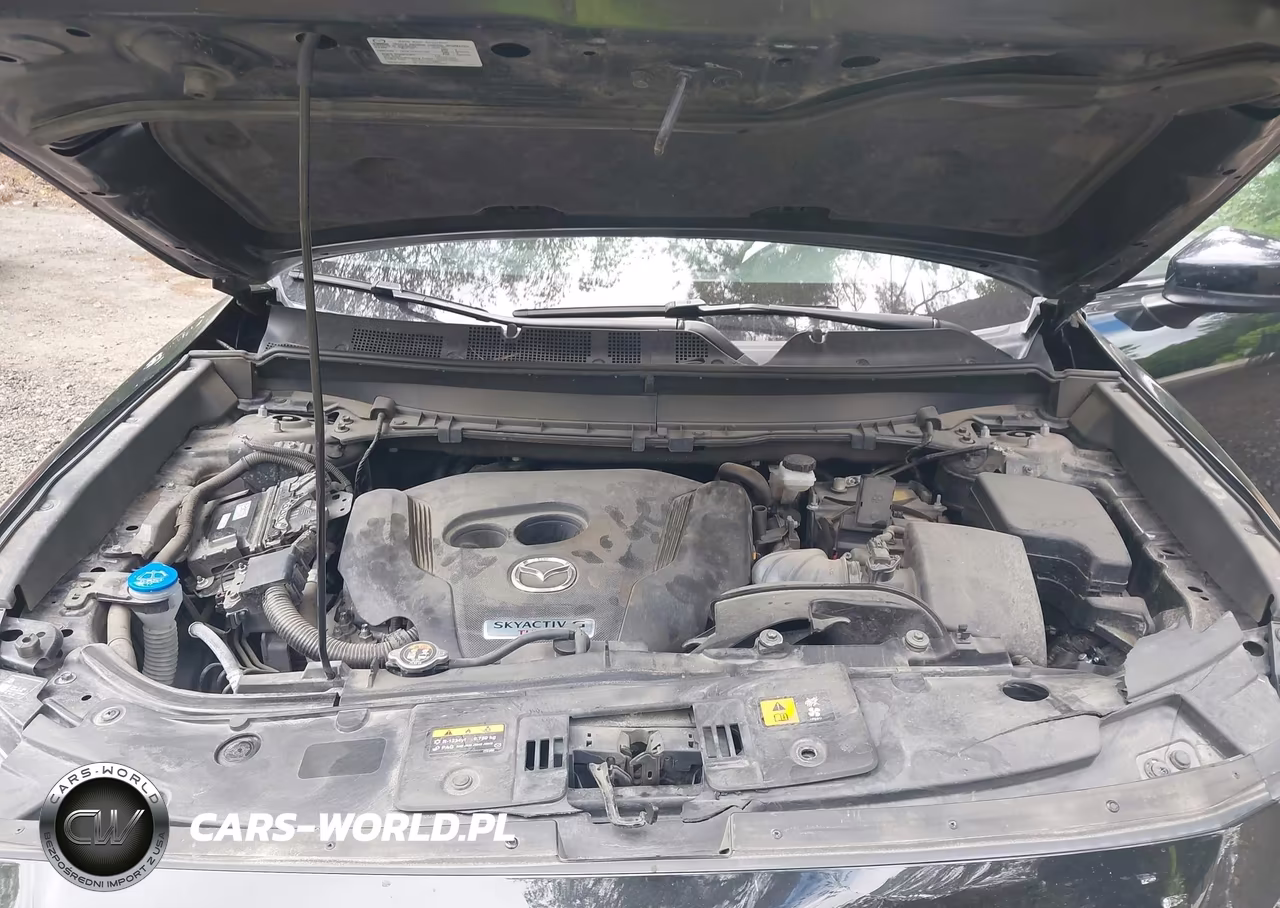 2022 Mazda Cx-9 Touring VIN:JM3TCBCY6N0601137 - 10