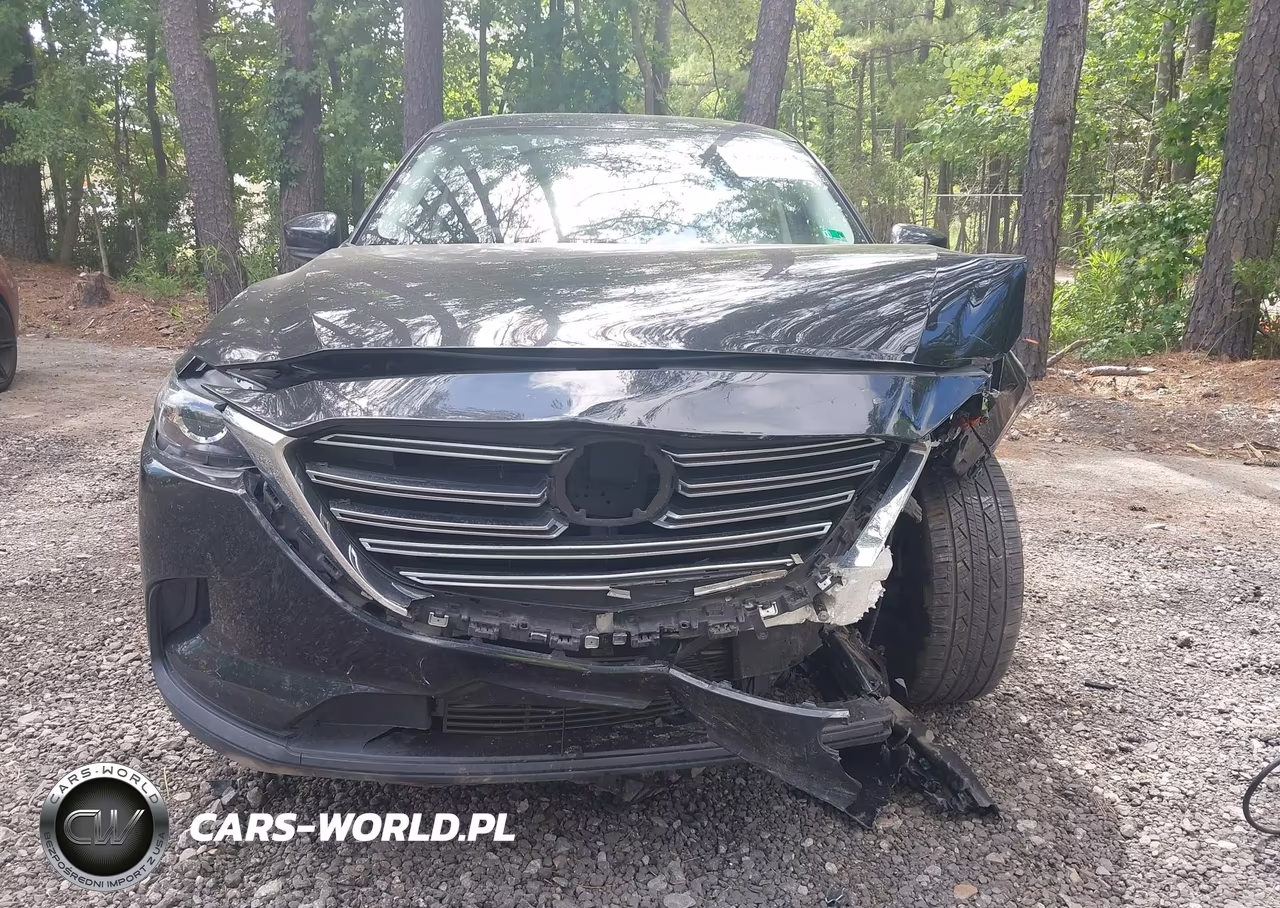 2022 Mazda Cx-9 Touring VIN:JM3TCBCY6N0601137 - 12