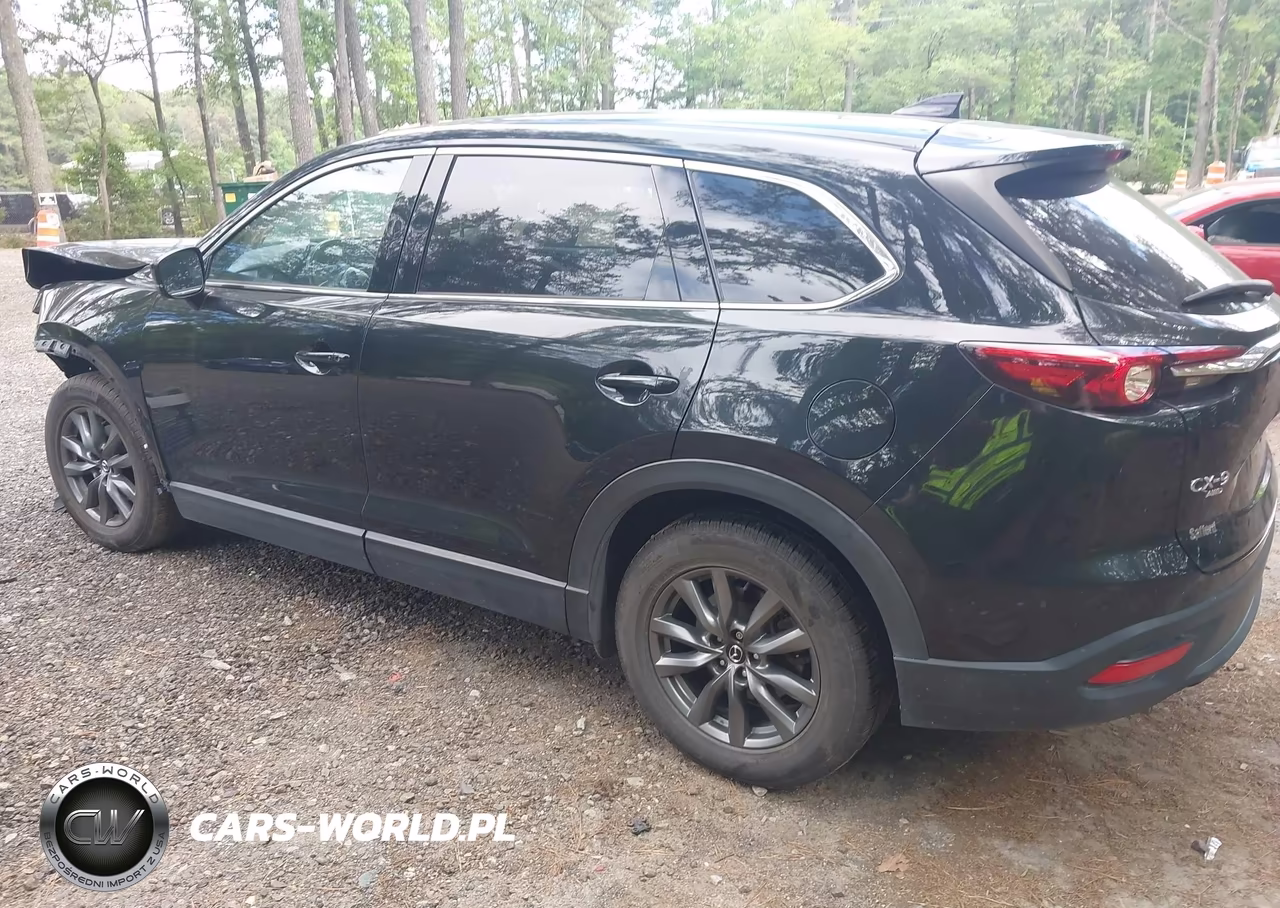 2022 Mazda Cx-9 Touring VIN:JM3TCBCY6N0601137 - 3