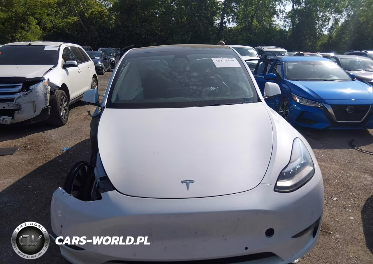 2021 Tesla Model Y Long Range Dual Motor All-Wheel Drive VIN:5YJYGDEE3MF196694 - 10