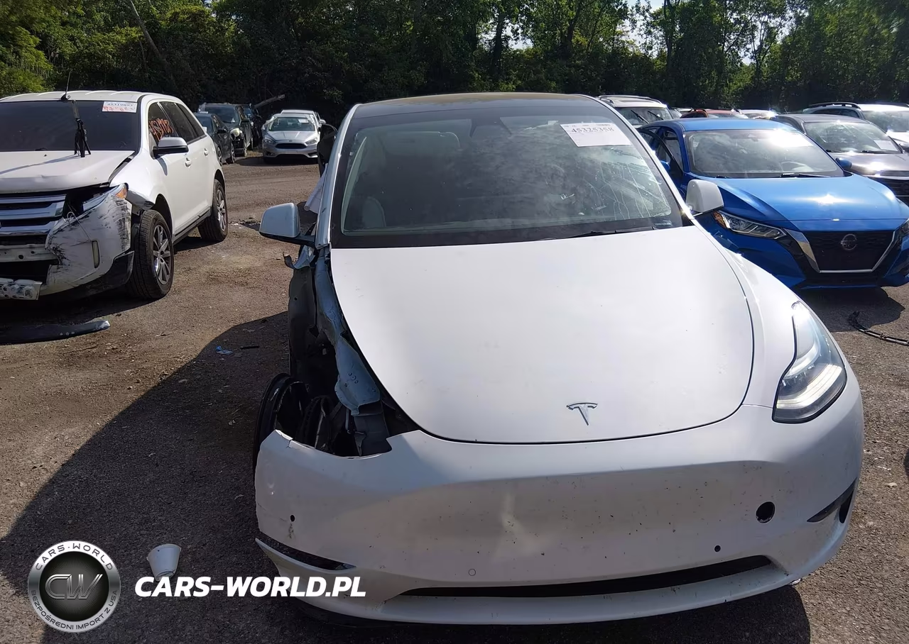2021 Tesla Model Y Long Range Dual Motor All-Wheel Drive VIN:5YJYGDEE3MF196694 - 6