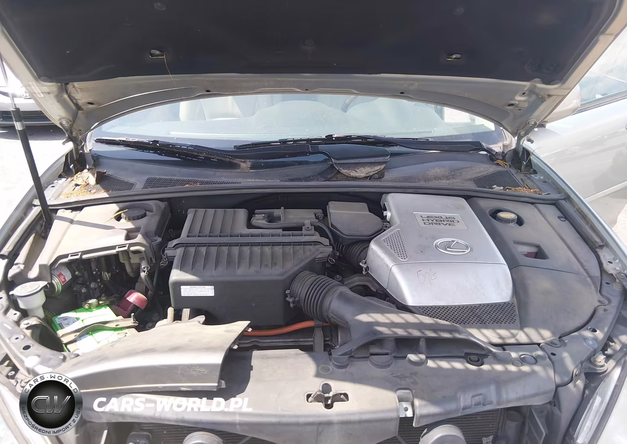 2007 Lexus Rx 400H VIN:JTJGW31U772003876 - 10