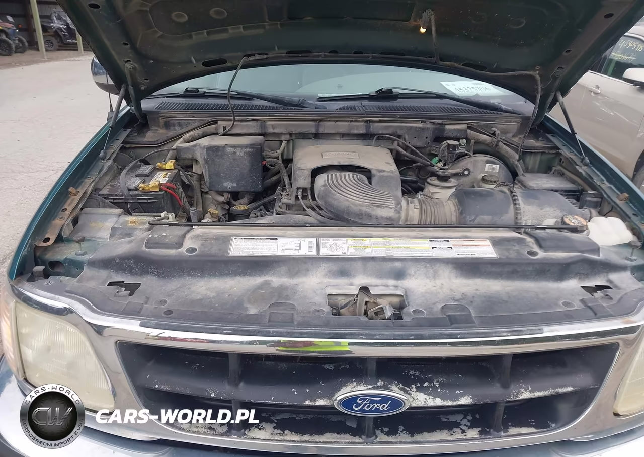 1998 Ford F-150 Lariat-Xl-Xlt VIN:1FTRX17L4WKA28289 - 10