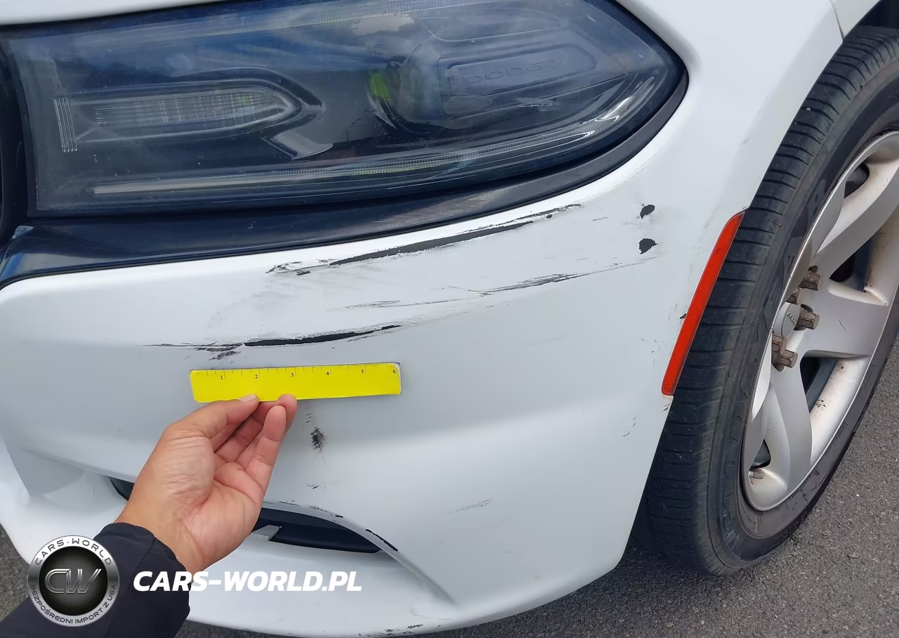 2019 Dodge Charger Police Rwd VIN:2C3CDXAG1KH734042 - 13