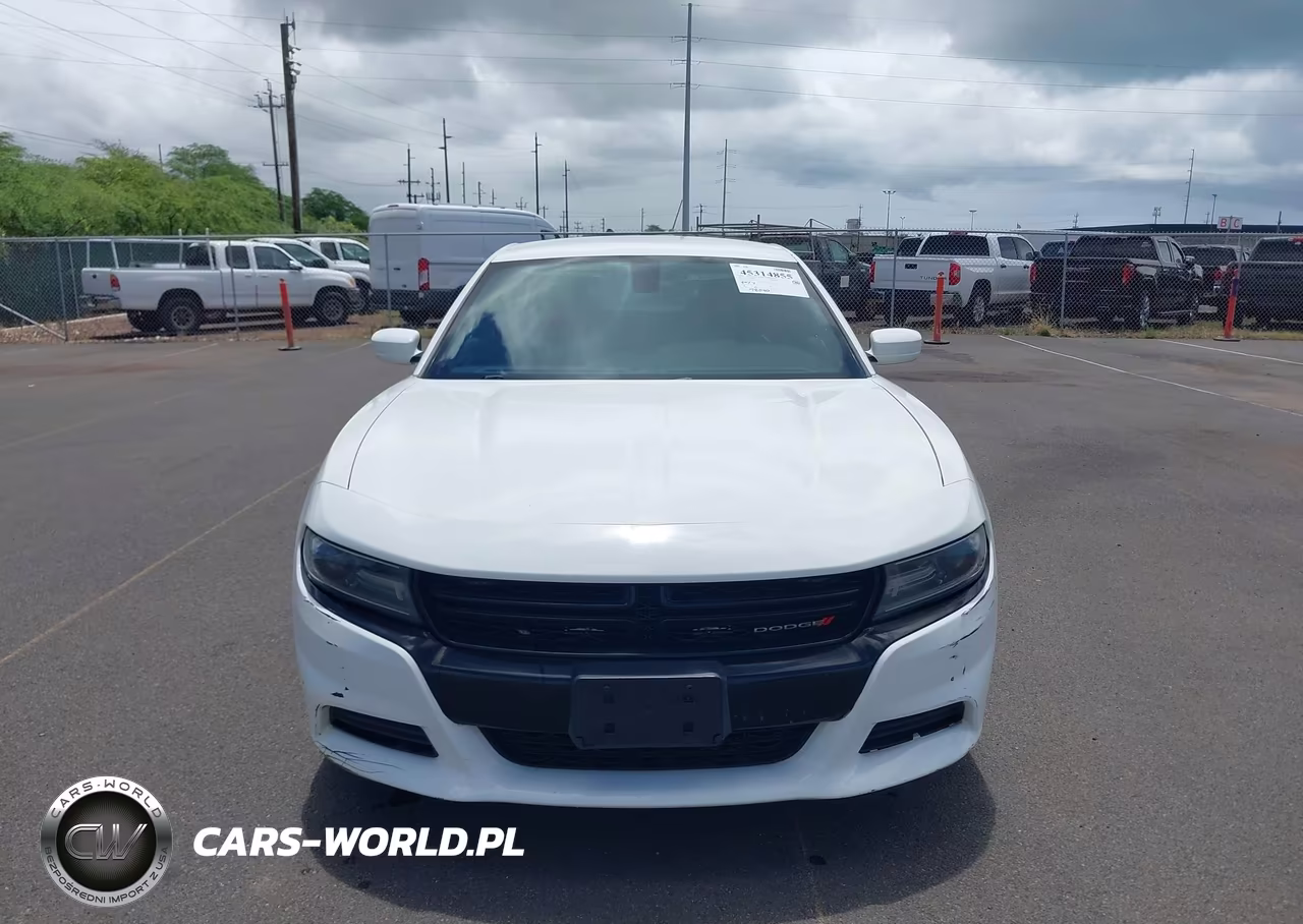 2019 Dodge Charger Police Rwd VIN:2C3CDXAG1KH734042 - 17