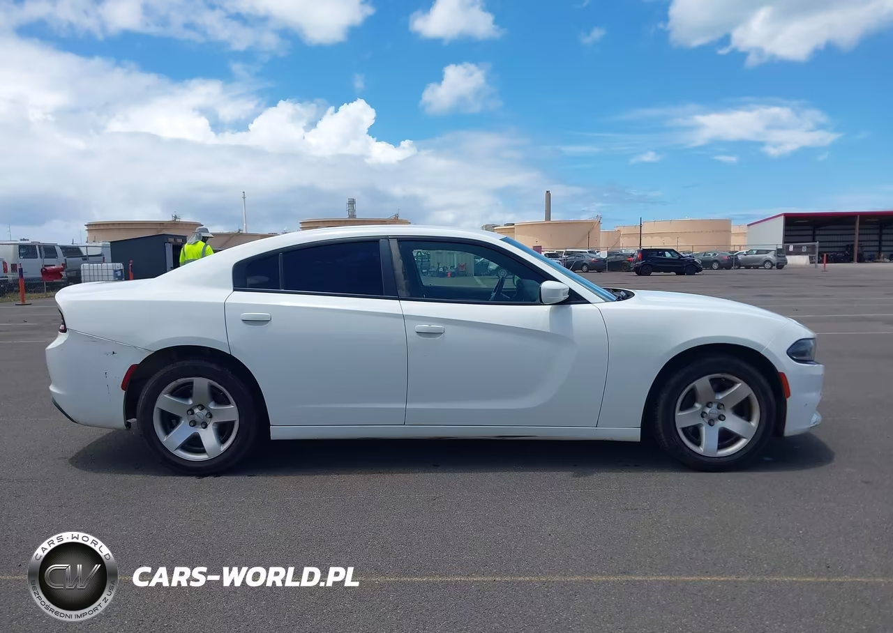 2019 Dodge Charger Police Rwd VIN:2C3CDXAG1KH734042 - 18