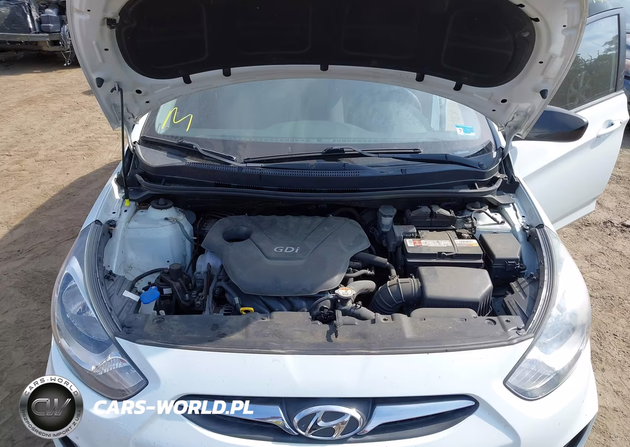 2014 Hyundai Accent Gs VIN:KMHCT5AE4EU161328 - 10