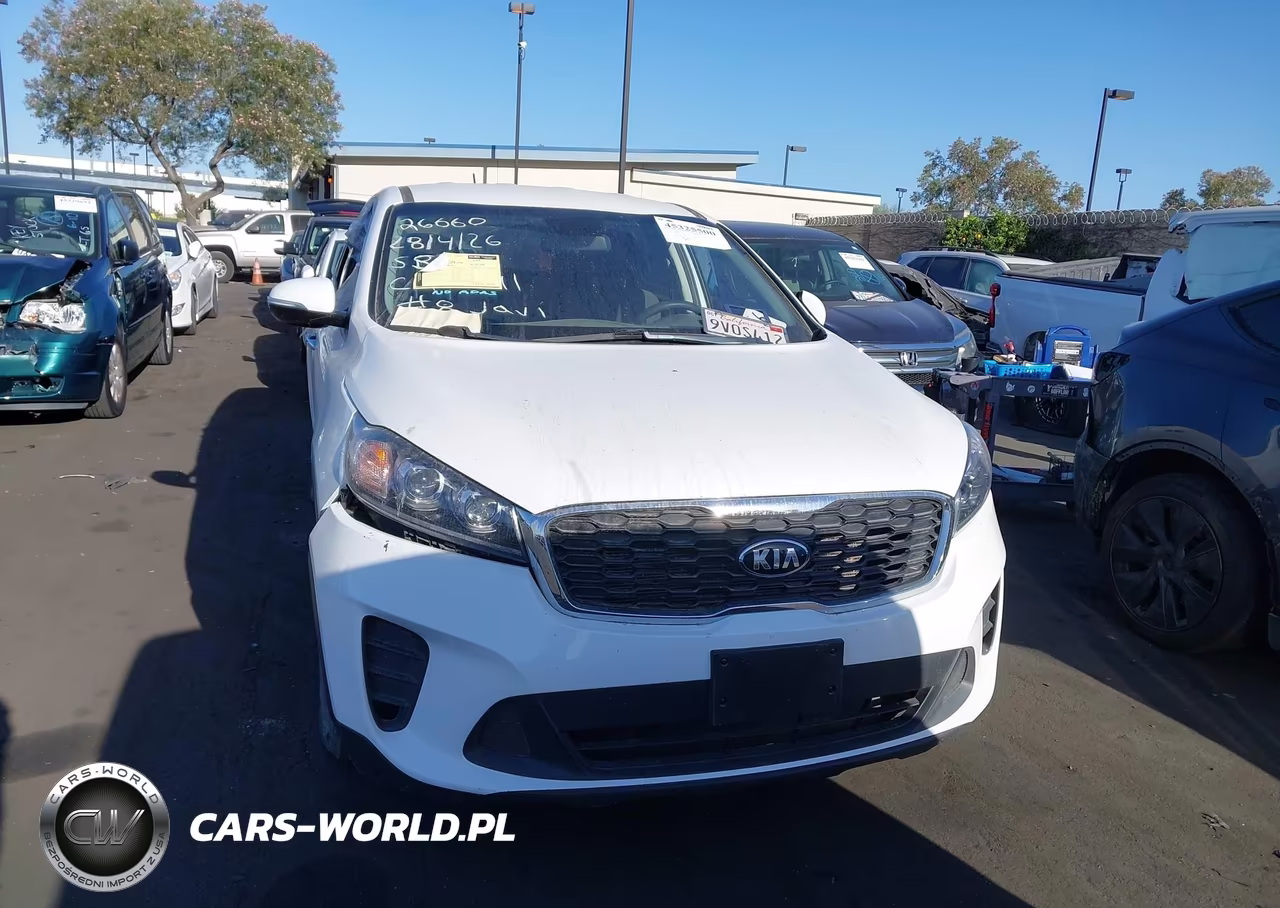 2020 Kia Sorento 3.3L Lx VIN:5XYPGDA58LG681762 - 13