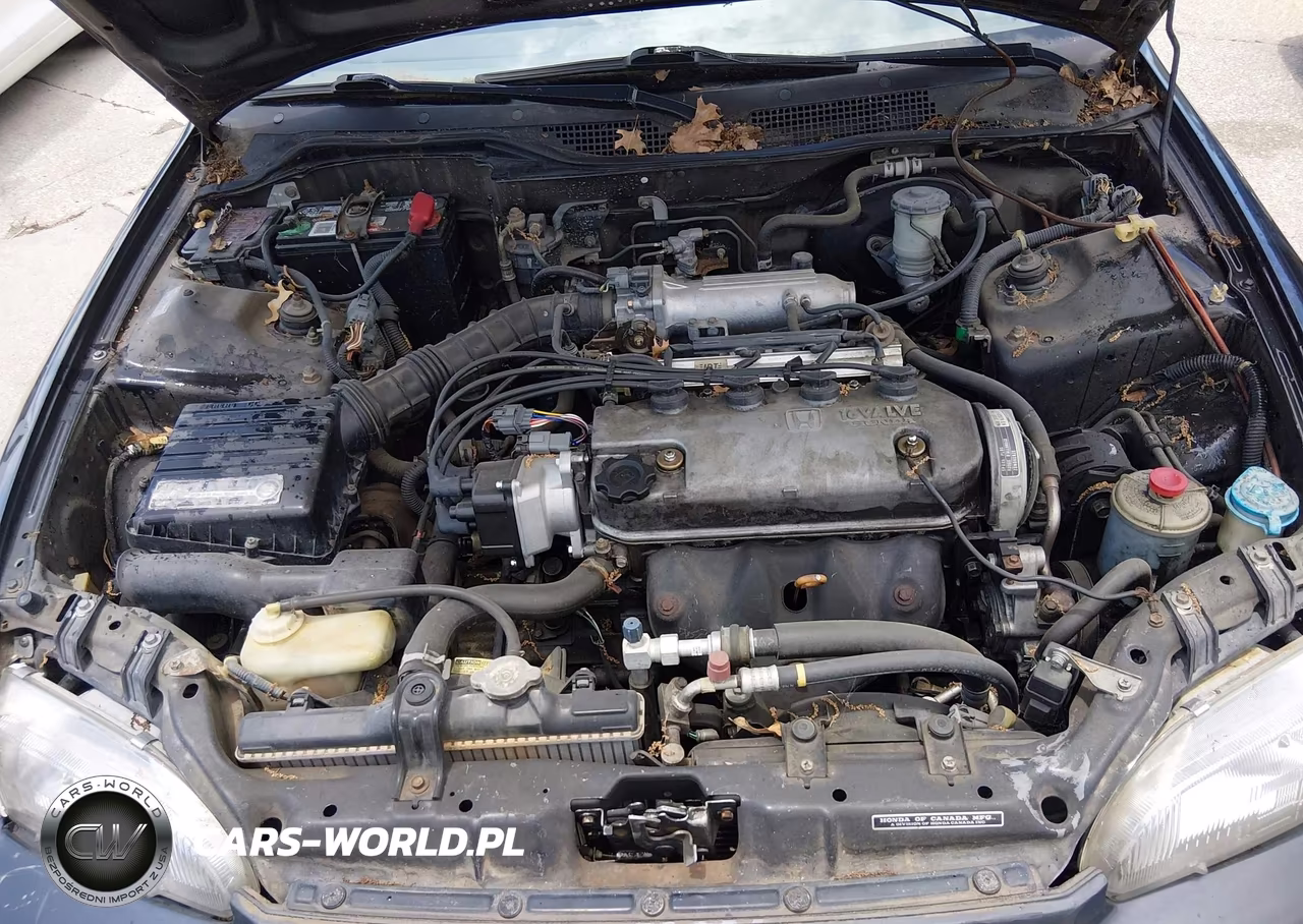 1994 Honda Civic Dx VIN:2HGEH2463RH519367 - 10