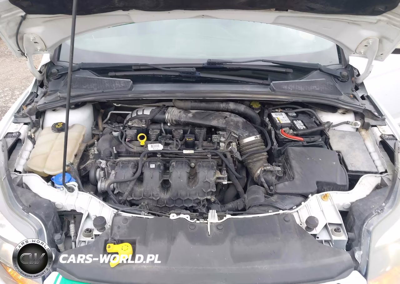 2014 Ford Focus St VIN:1FADP3L97EL430001 - 10