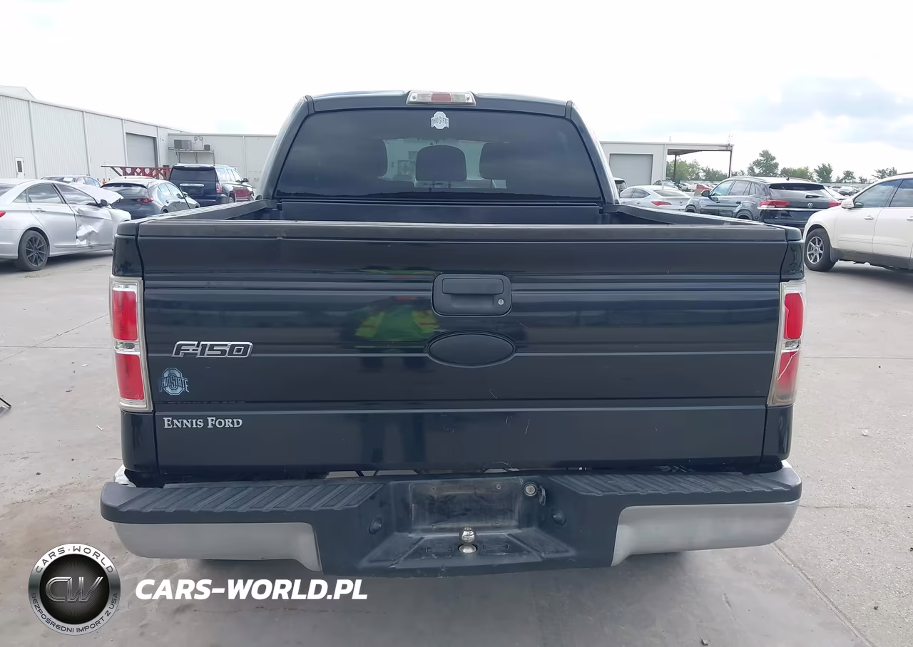 2012 Ford F-150 Xlt VIN:1FTEW1CM6CFA48385 - 17