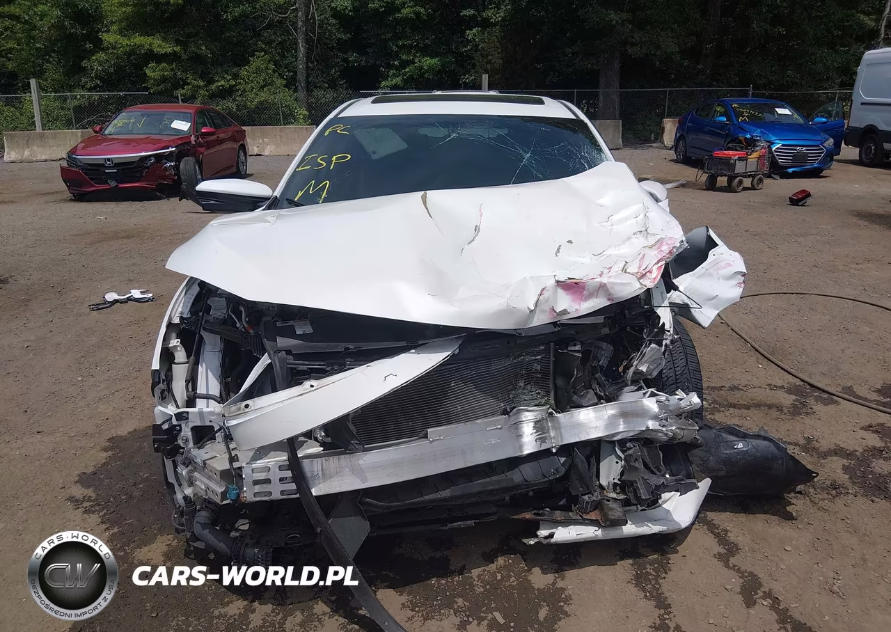 2017 Honda Civic Ex-L VIN:19XFC1F77HE202980 - 12