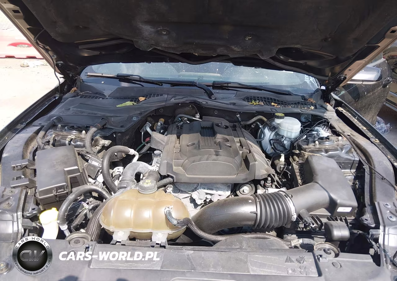 2018 Ford Mustang Ecoboost VIN:1FA6P8TH3J5163239 - 10