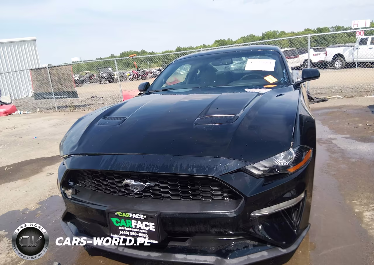 2018 Ford Mustang Ecoboost VIN:1FA6P8TH3J5163239 - 12