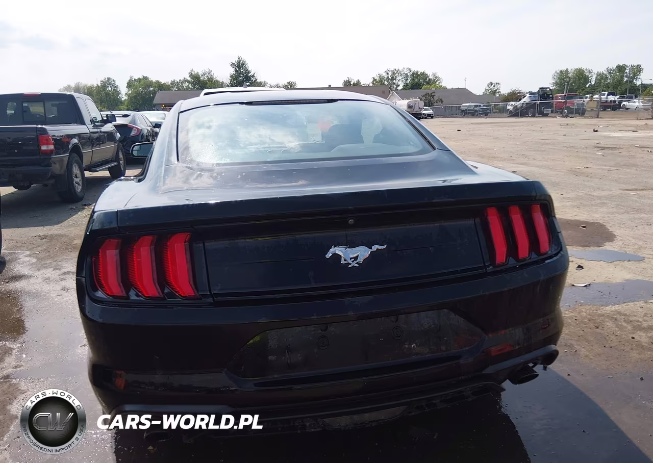 2018 Ford Mustang Ecoboost VIN:1FA6P8TH3J5163239 - 16