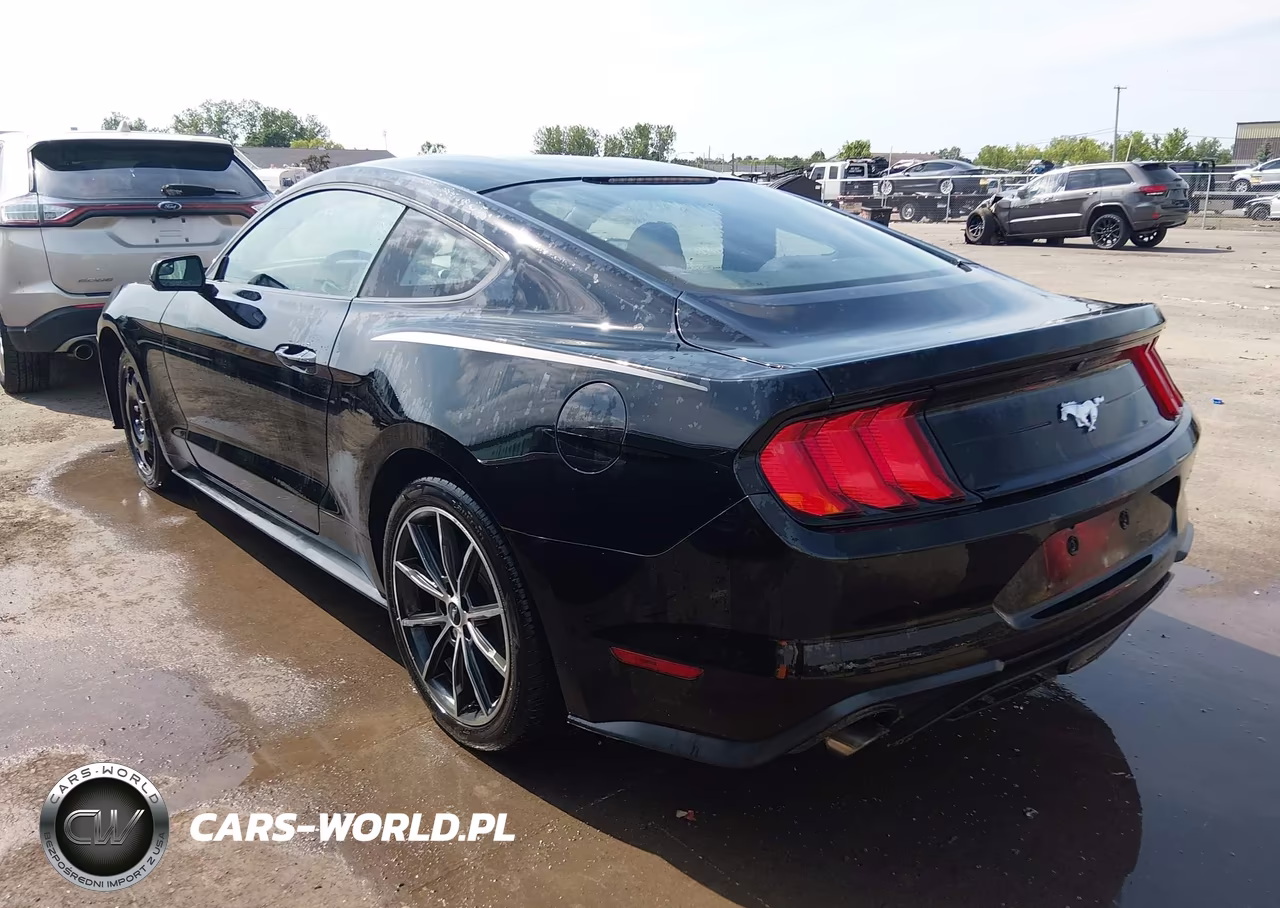 2018 Ford Mustang Ecoboost VIN:1FA6P8TH3J5163239 - 3