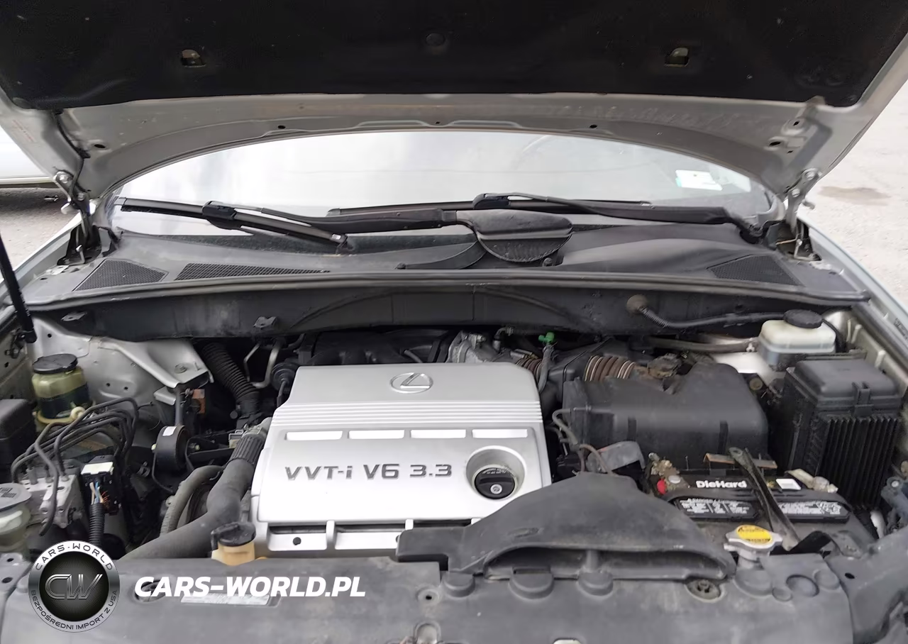 2004 Lexus Rx 330 VIN:JTJHA31U640055333 - 10