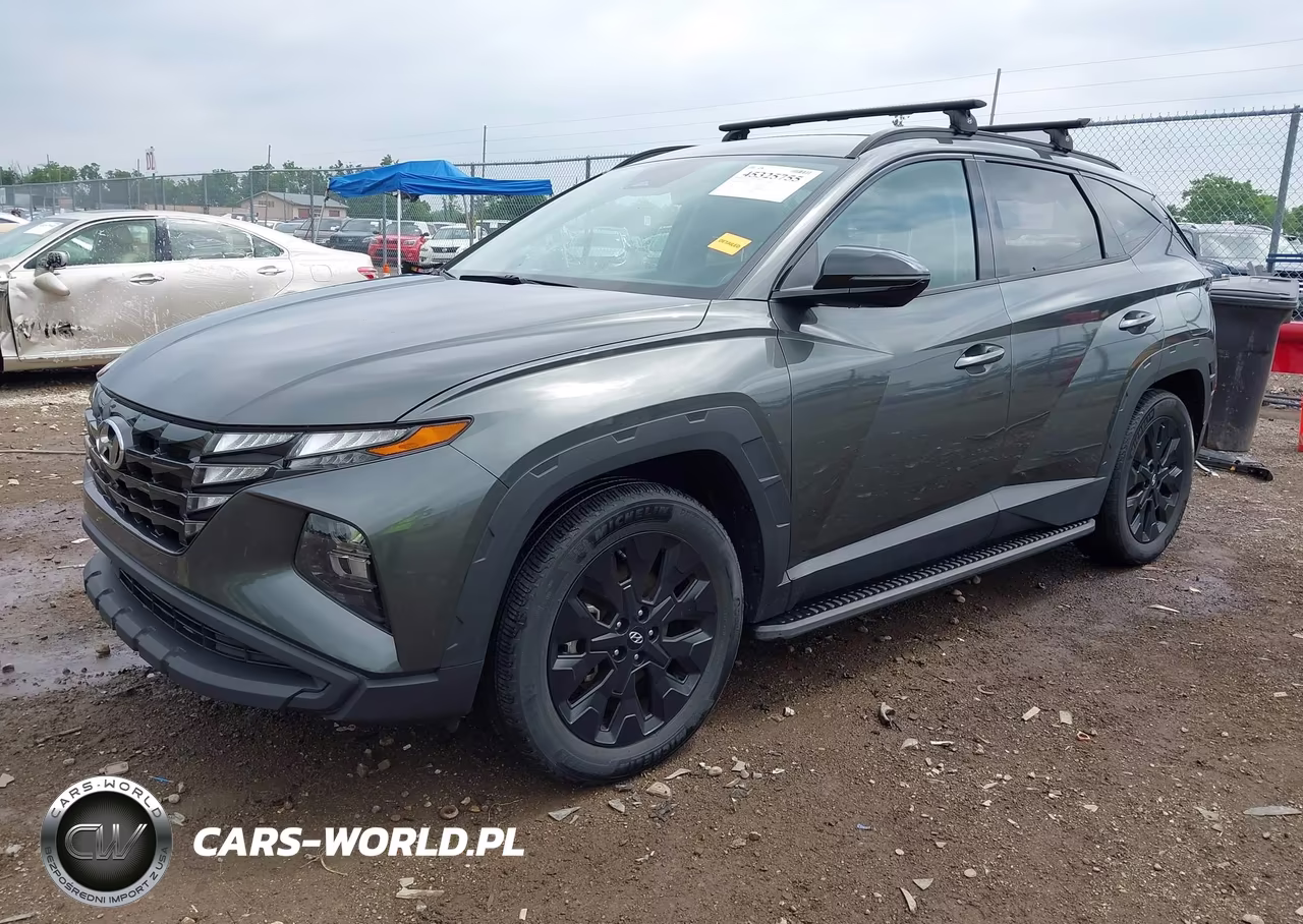 2023 Hyundai Tucson Xrt VIN:KM8JFCAE2PU176447 - 2
