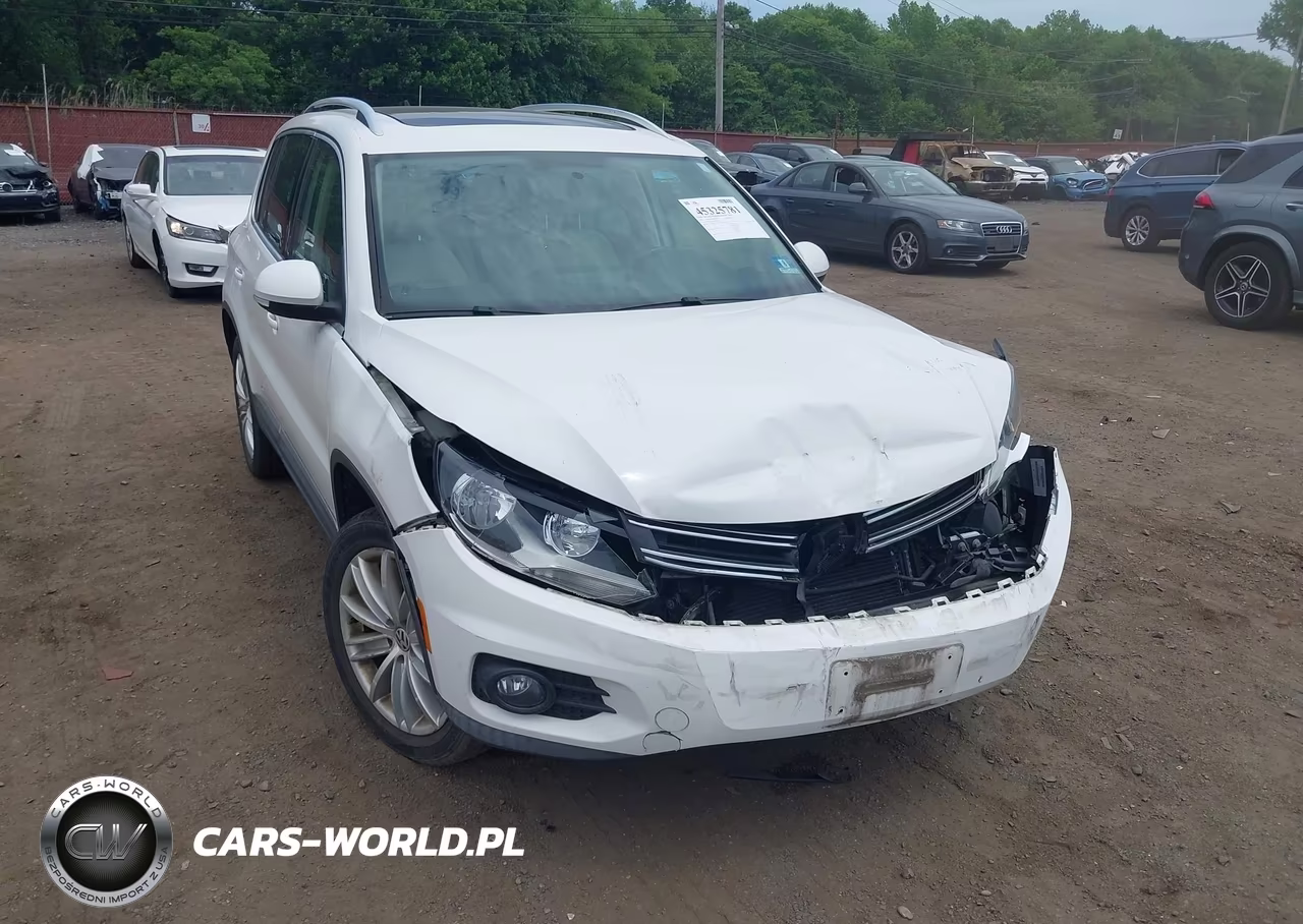 2012 Volkswagen Tiguan Se VIN:WVGBV7AX0CW596139 - 17