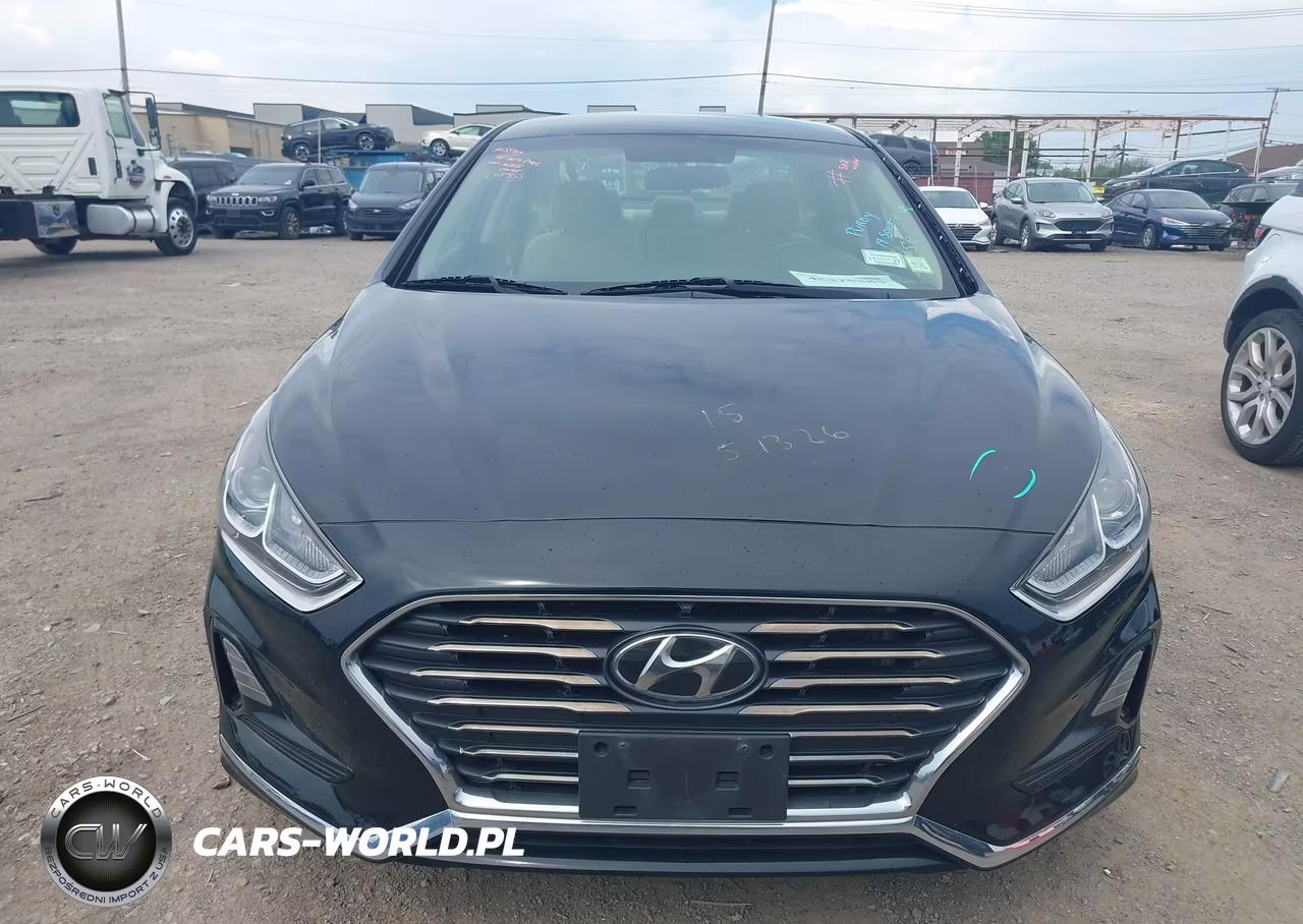 2019 Hyundai Sonata Se VIN:5NPE24AF3KH746944 - 13