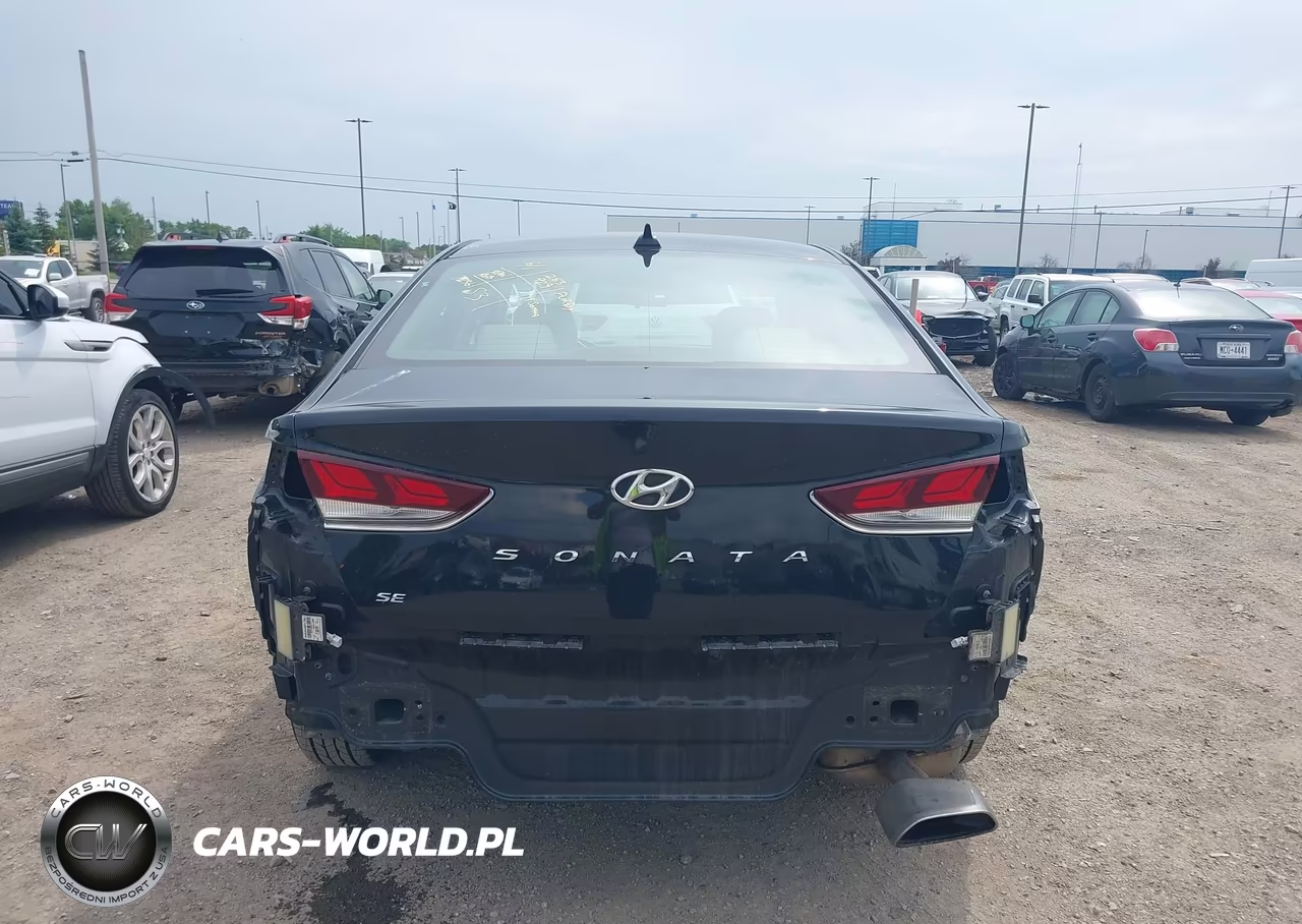 2019 Hyundai Sonata Se VIN:5NPE24AF3KH746944 - 17