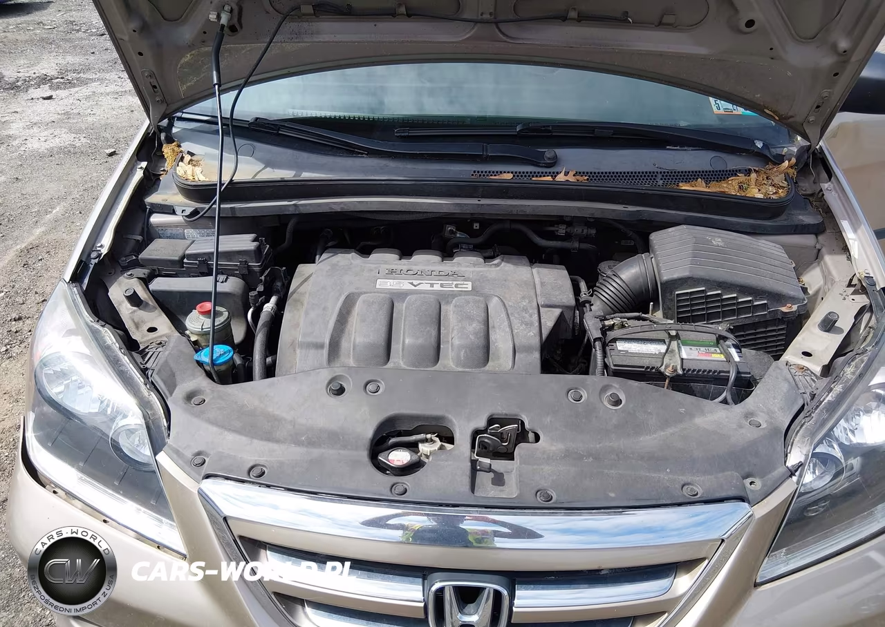 2006 Honda Odyssey Lx VIN:5FNRL38286B122458 - 10