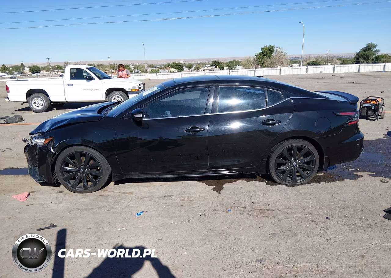 2019 Nissan Maxima 3.5 Sr VIN:1N4AA6AV8KC373289 - 15