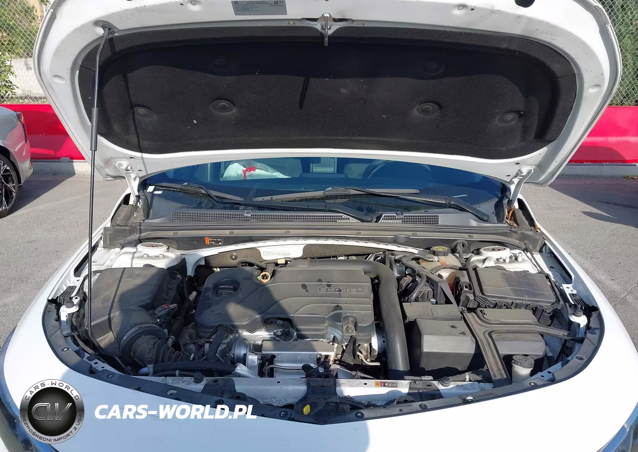 2019 Chevrolet Malibu 1Fl VIN:1G1ZC5ST0KF208097 - 10