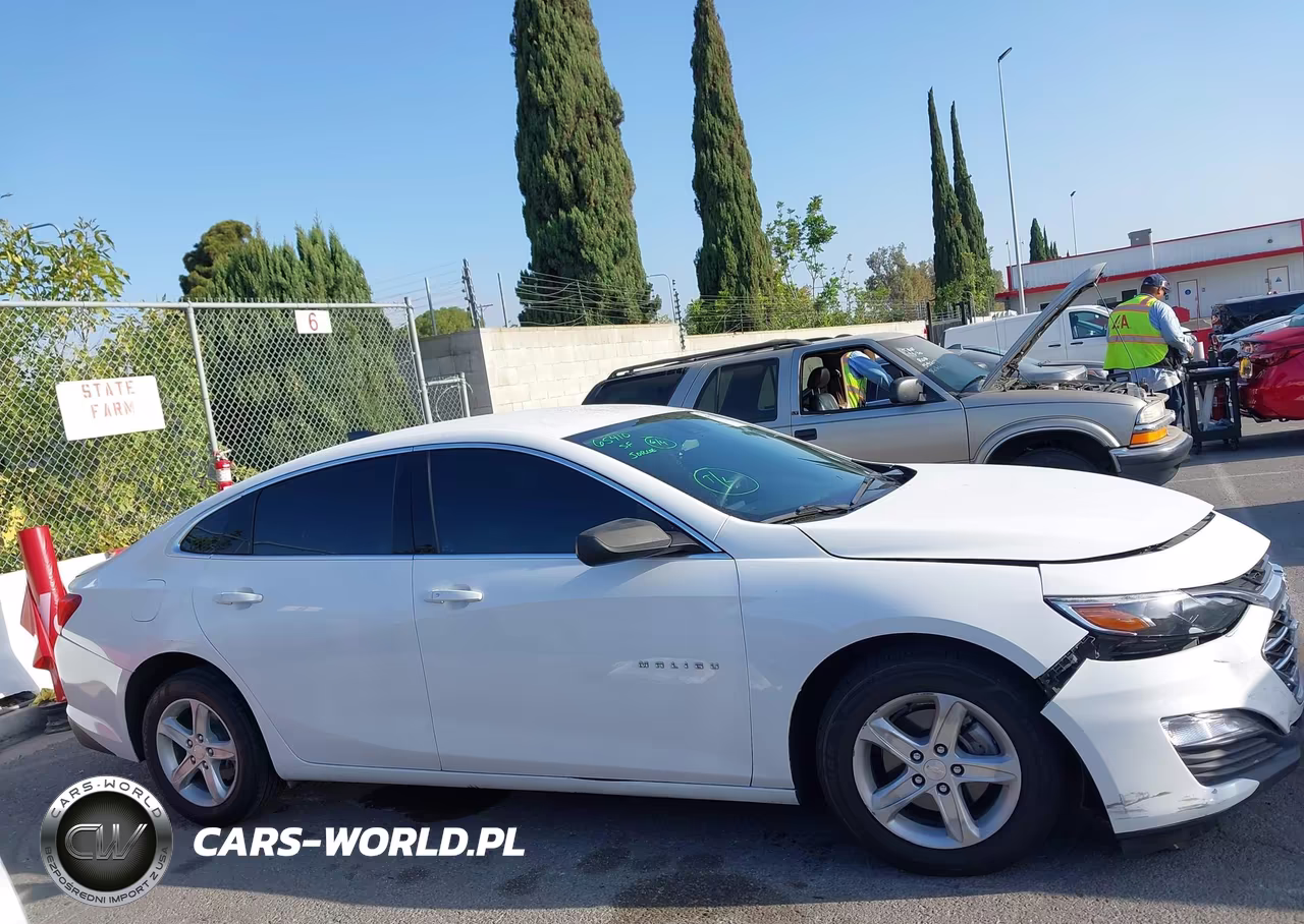 2019 Chevrolet Malibu 1Fl VIN:1G1ZC5ST0KF208097 - 13