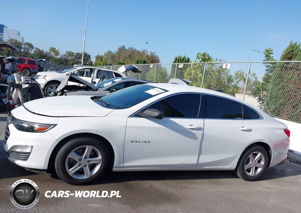 2019 Chevrolet Malibu 1Fl VIN:1G1ZC5ST0KF208097 - 14
