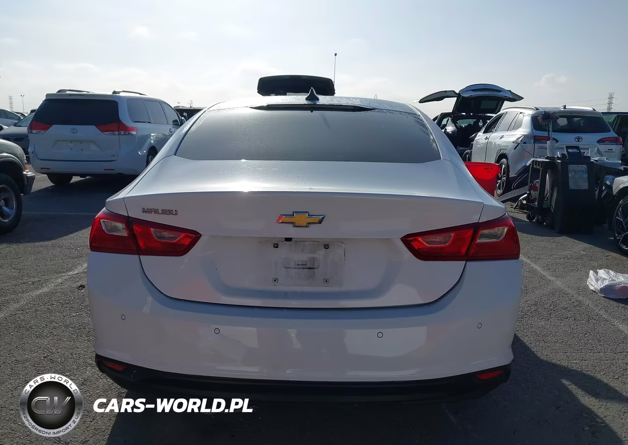 2019 Chevrolet Malibu 1Fl VIN:1G1ZC5ST0KF208097 - 16