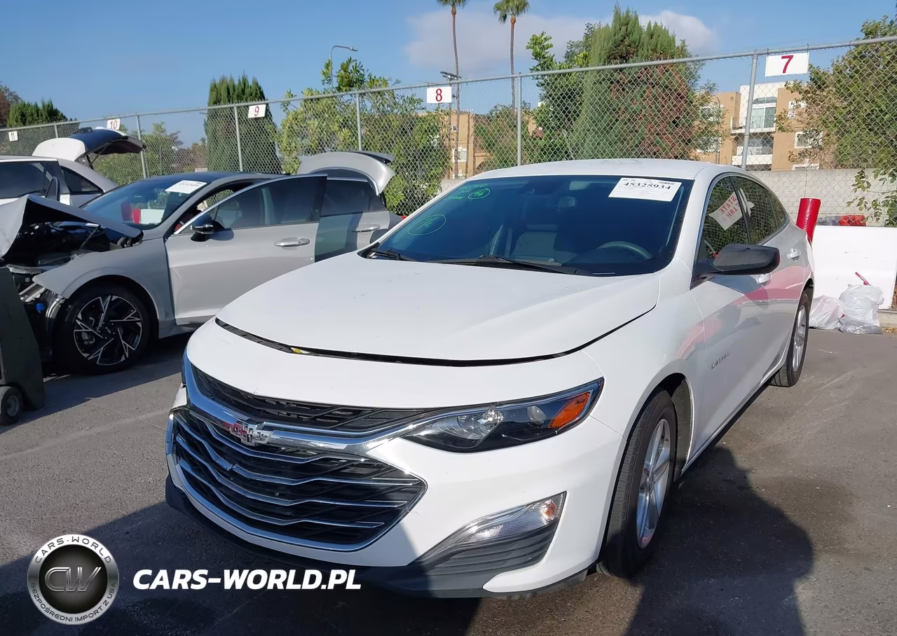 2019 Chevrolet Malibu 1Fl VIN:1G1ZC5ST0KF208097 - 2