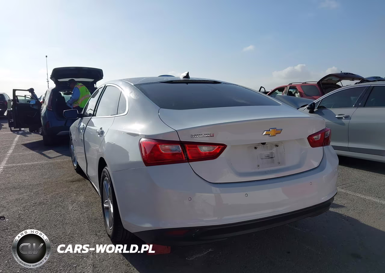 2019 Chevrolet Malibu 1Fl VIN:1G1ZC5ST0KF208097 - 3