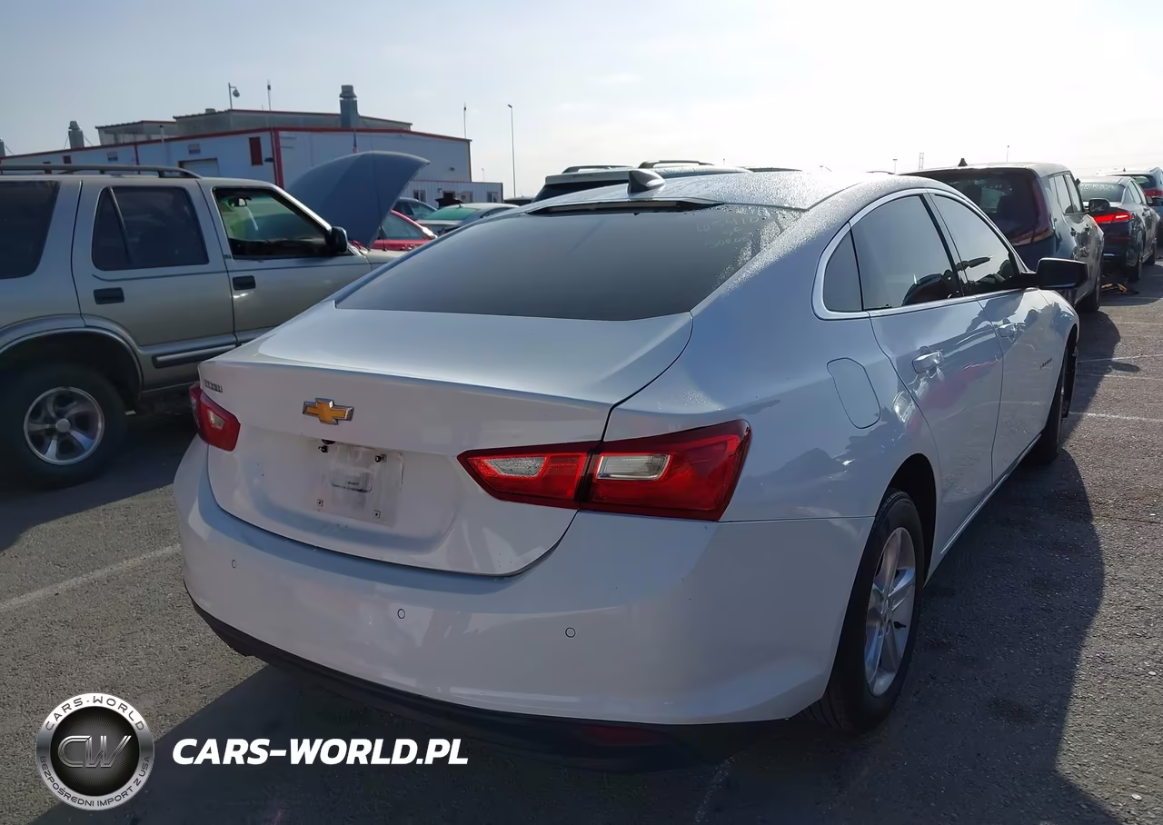 2019 Chevrolet Malibu 1Fl VIN:1G1ZC5ST0KF208097 - 4