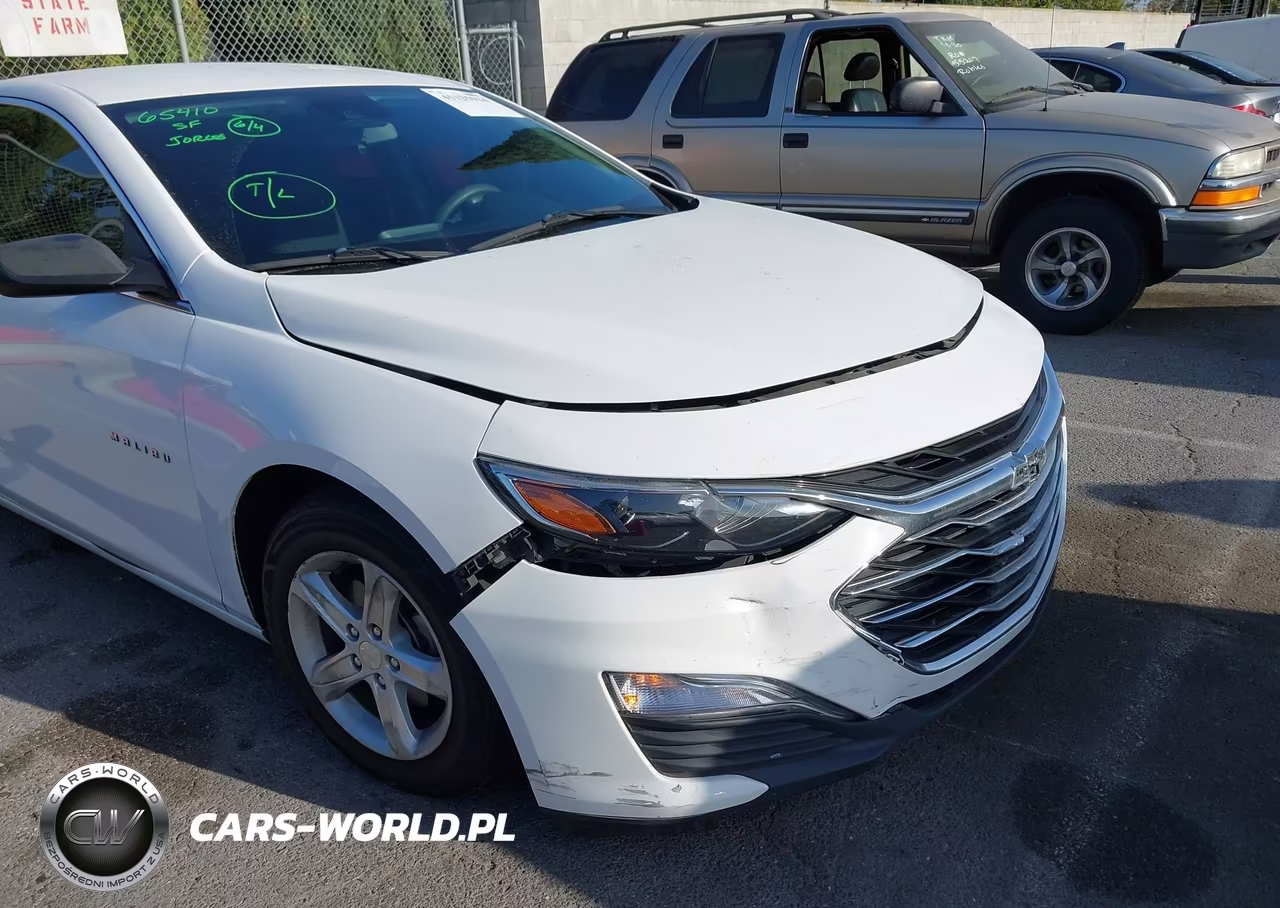 2019 Chevrolet Malibu 1Fl VIN:1G1ZC5ST0KF208097 - 6