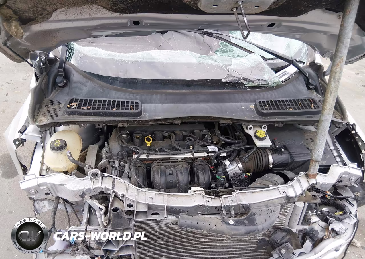 2019 Ford Escape S VIN:1FMCU0F77KUA58622 - 10