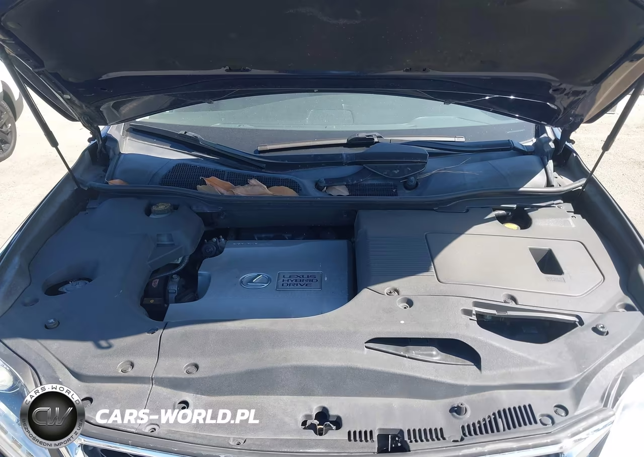 2014 Lexus Rx 450H VIN:JTJZB1BA4E2009760 - 10