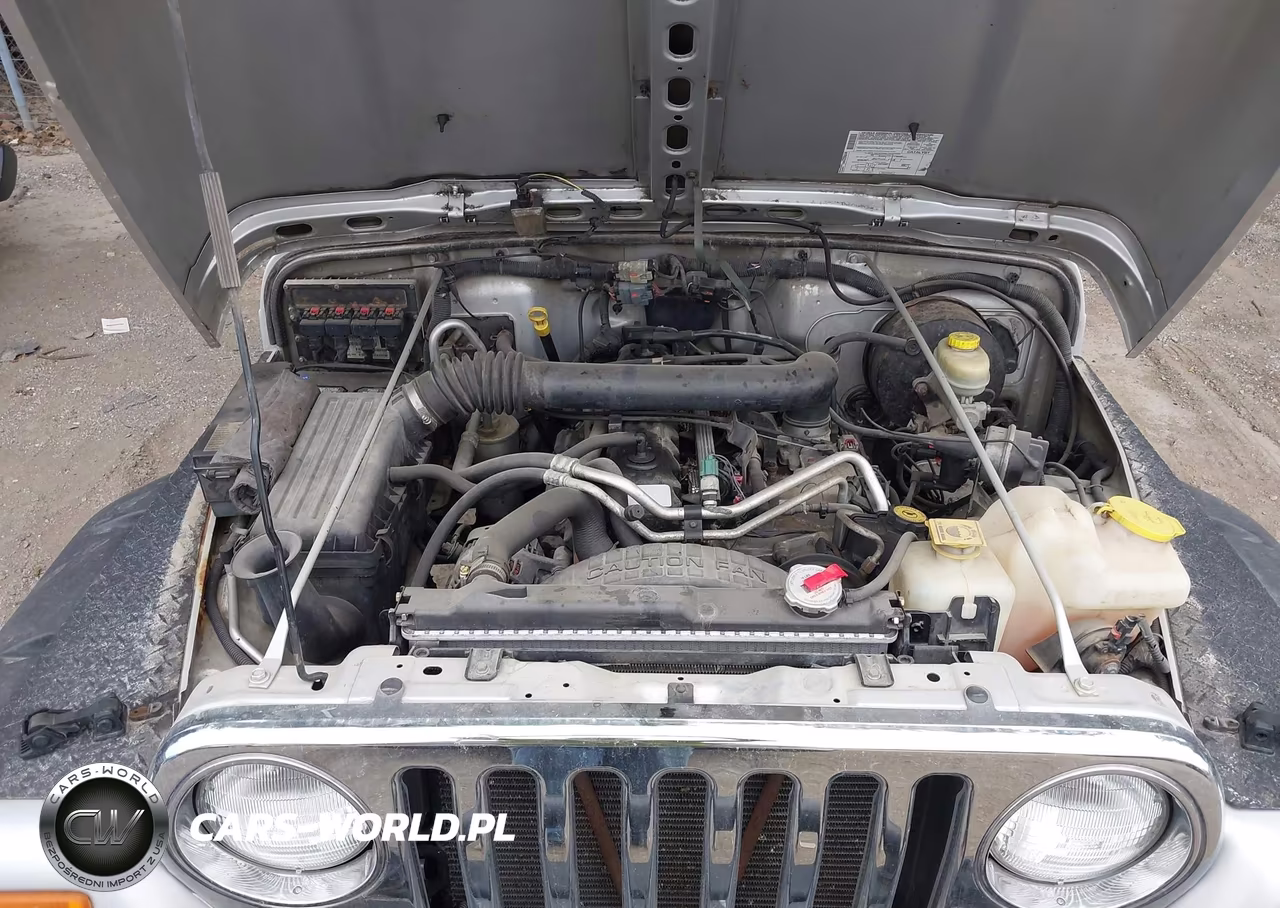 2005 Jeep Wrangler Rubicon VIN:1J4FA69S45P318002 - 10
