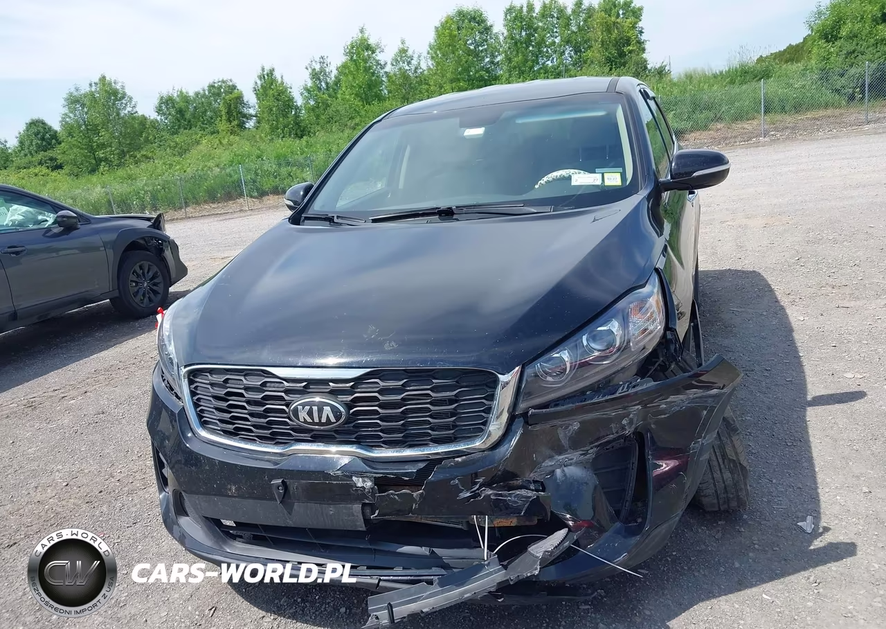 2019 Kia Sorento 2.4L Lx VIN:5XYPGDA39KG525176 - 12