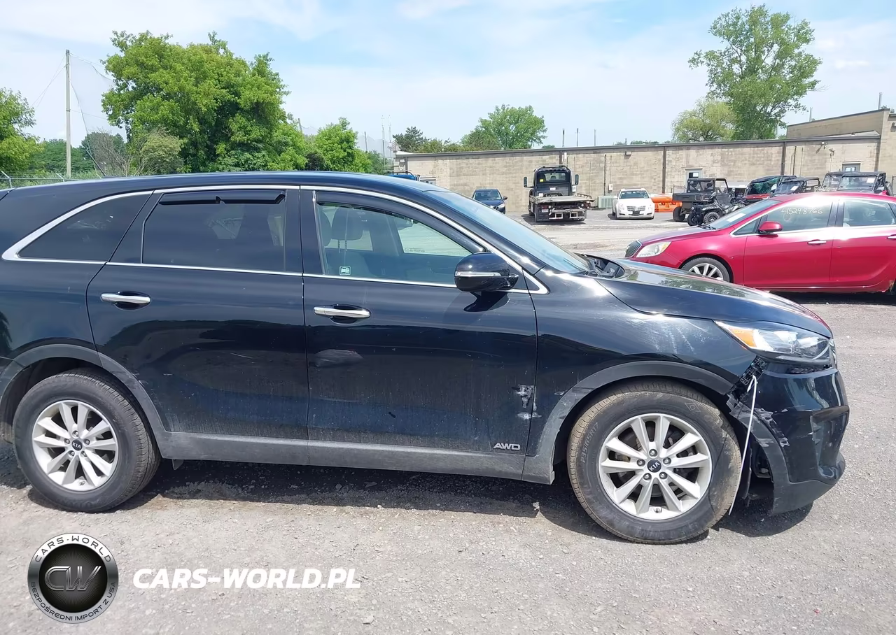 2019 Kia Sorento 2.4L Lx VIN:5XYPGDA39KG525176 - 13