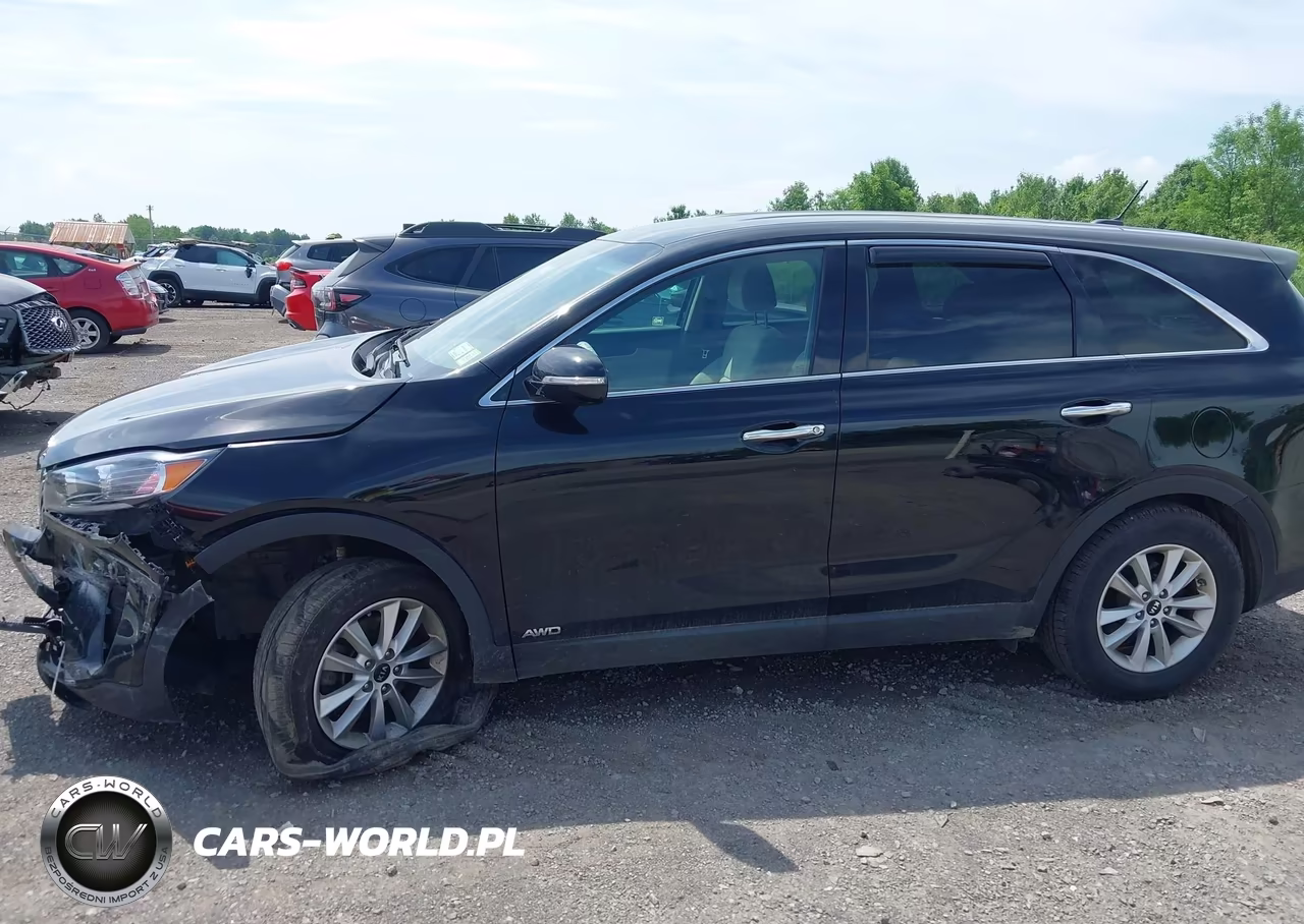 2019 Kia Sorento 2.4L Lx VIN:5XYPGDA39KG525176 - 14