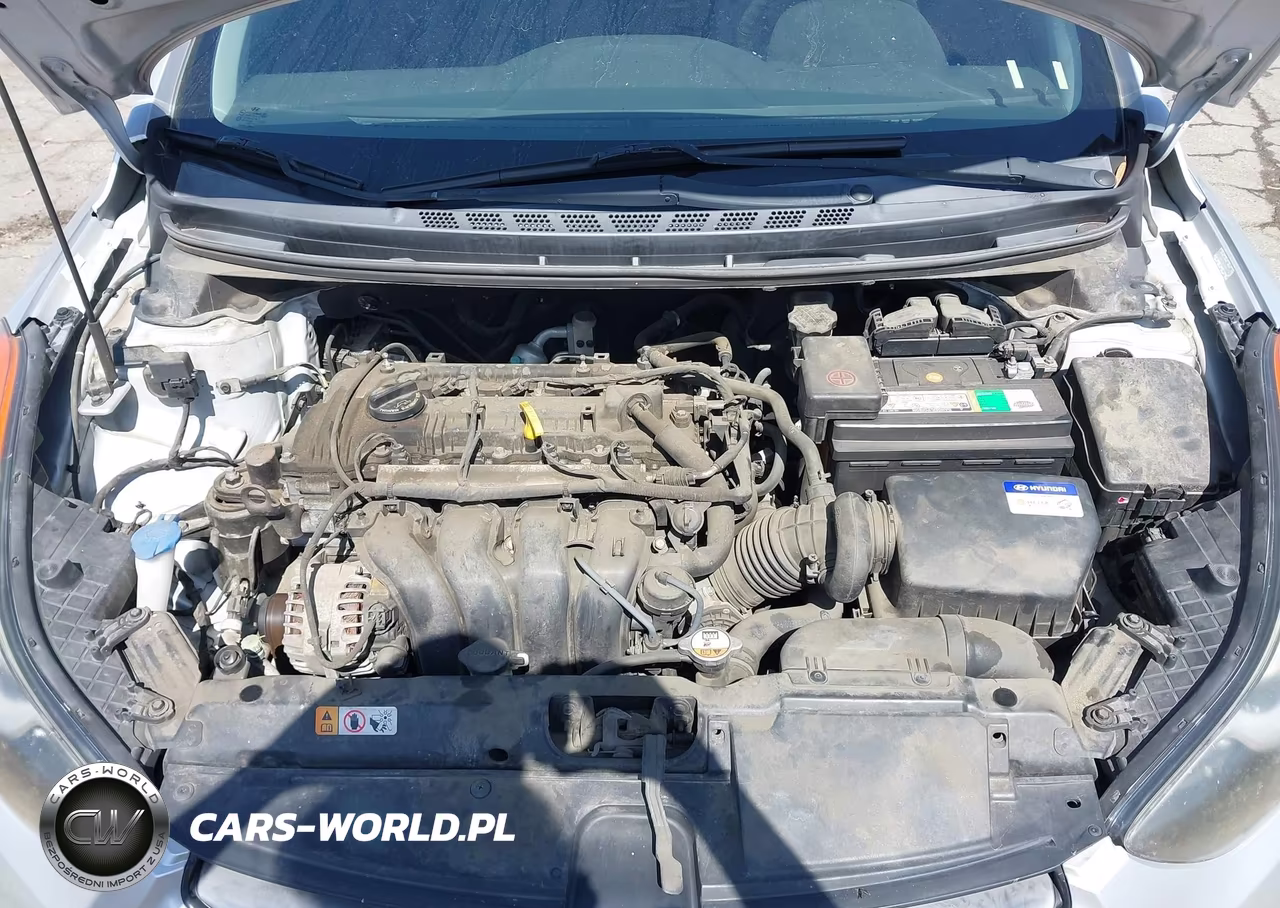 2013 Hyundai Elantra Limited VIN:KMHDH4AE5DU780776 - 10