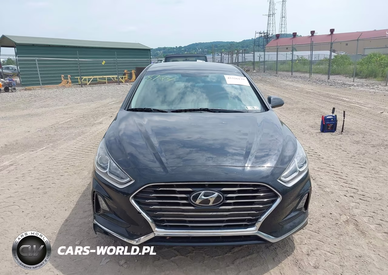 2019 Hyundai Sonata Se VIN:5NPE24AFXKH748724 - 12