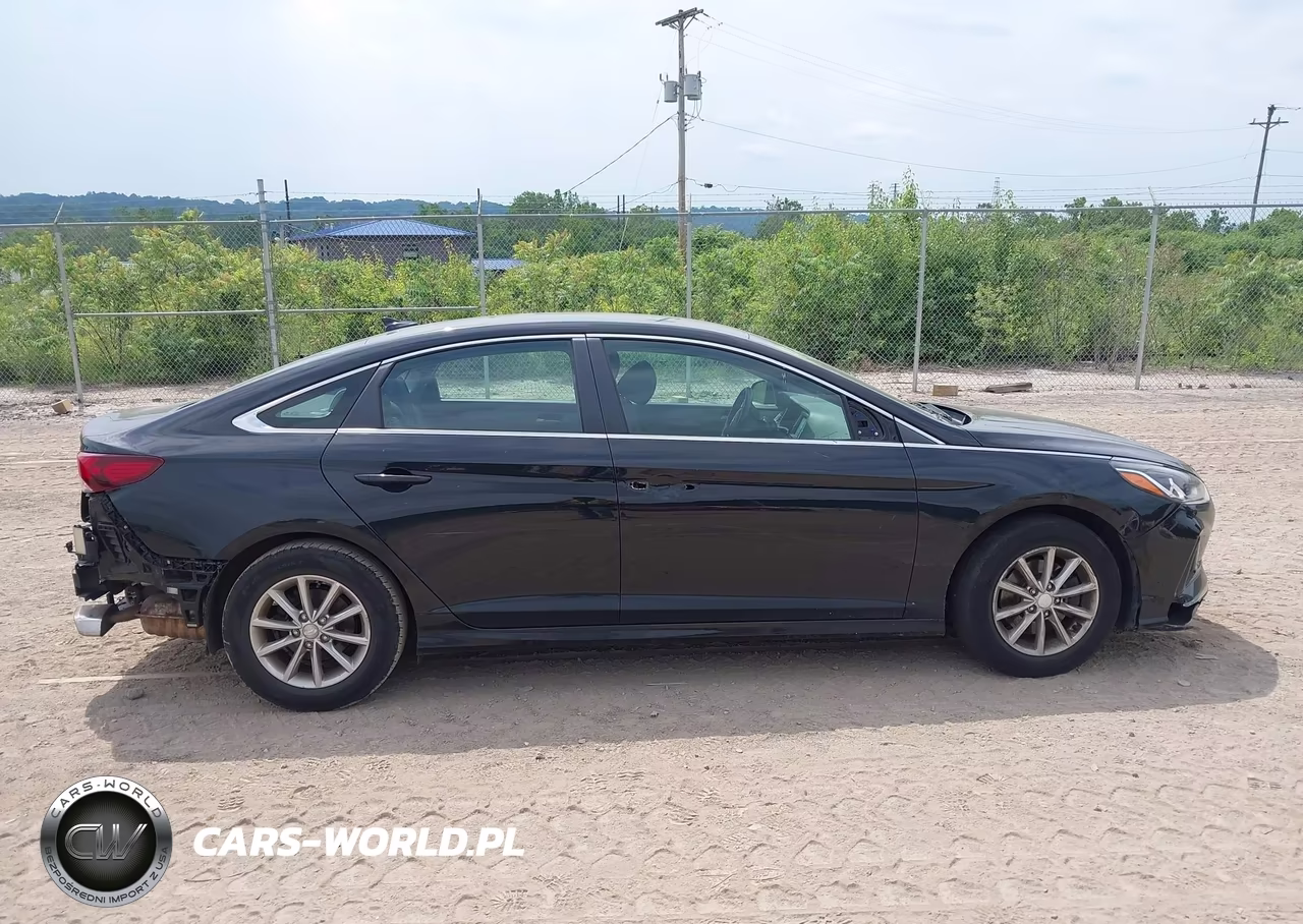 2019 Hyundai Sonata Se VIN:5NPE24AFXKH748724 - 13