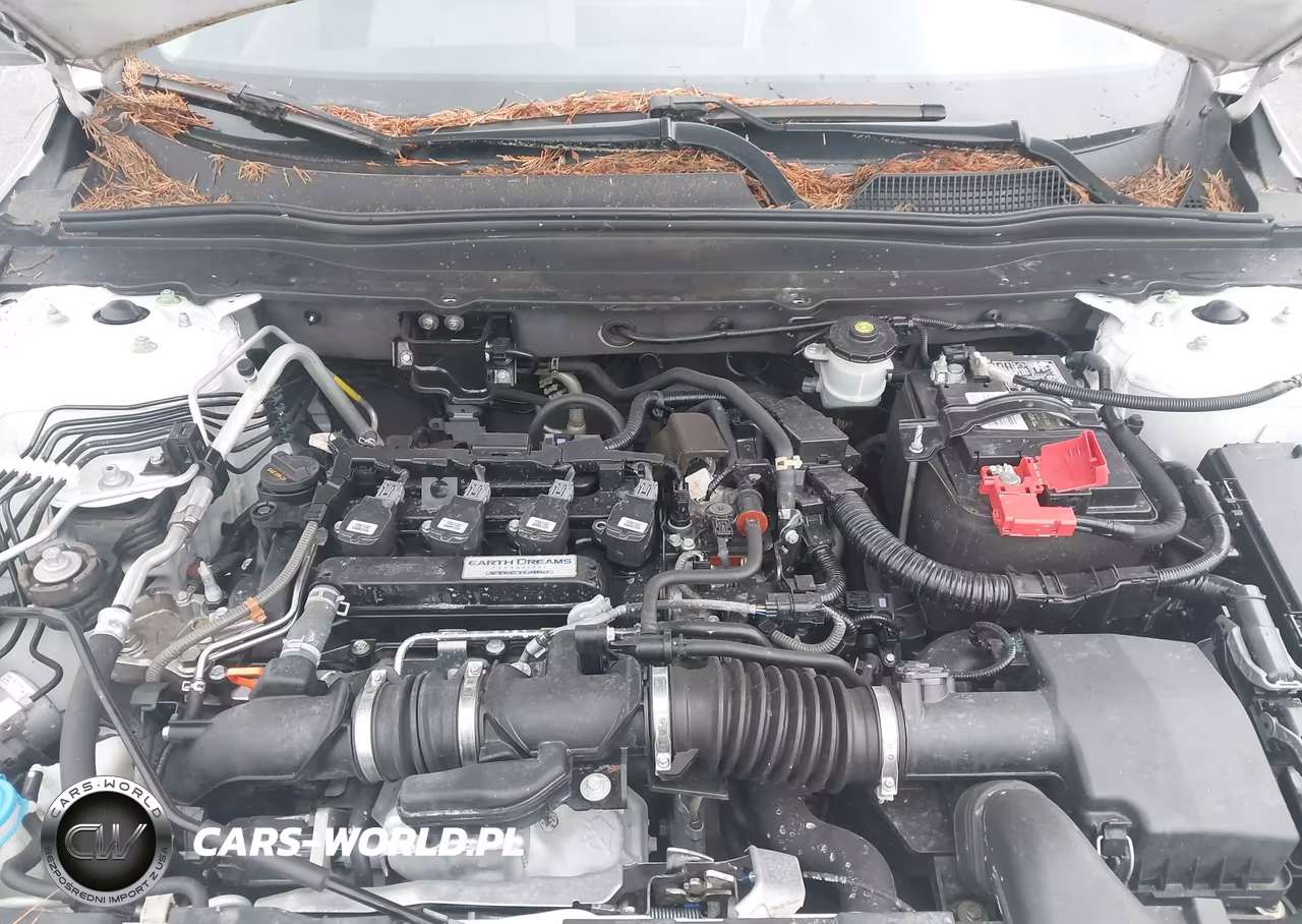 2018 Honda Accord Ex VIN:1HGCV1F40JA254495 - 10