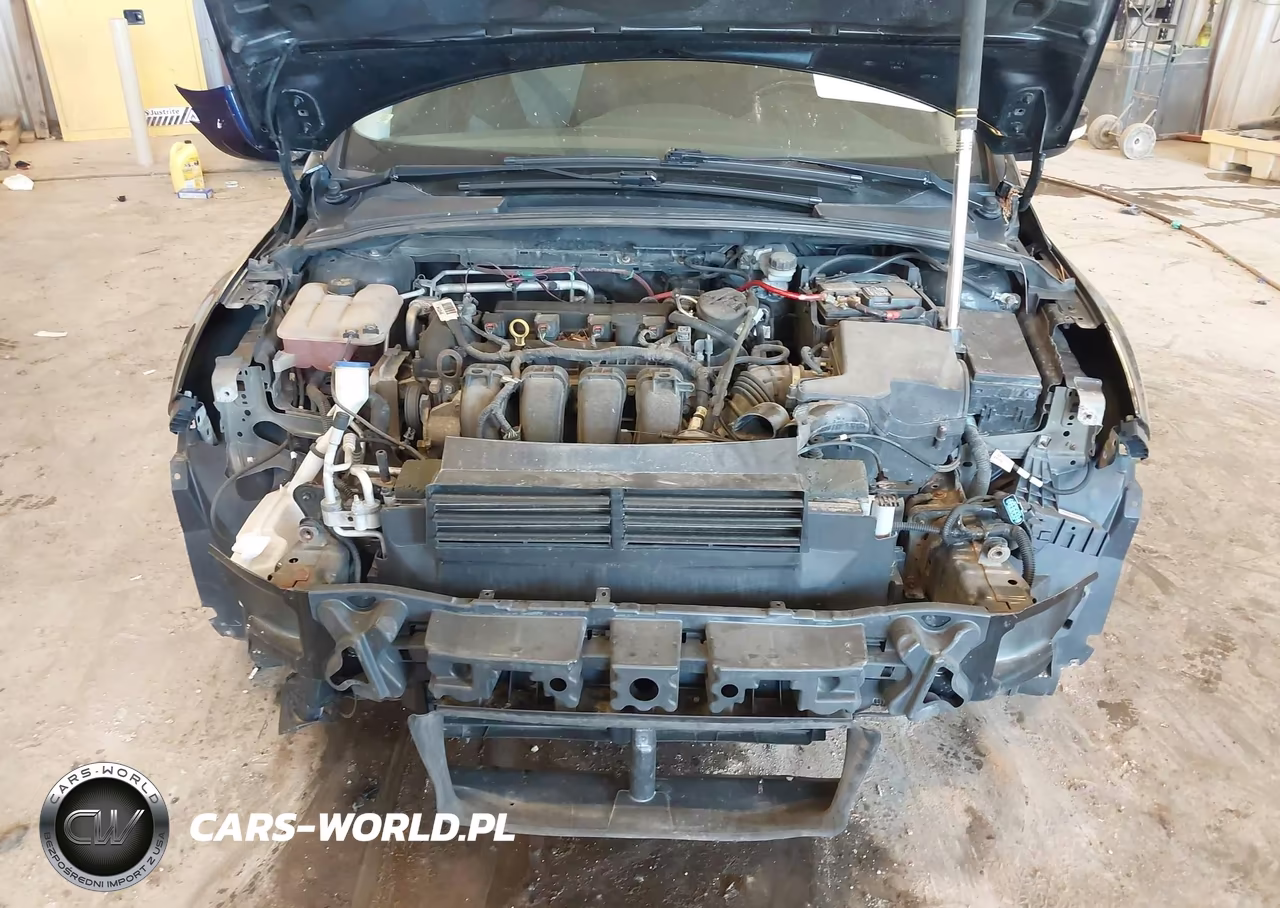 2014 Ford Focus Se VIN:1FADP3K26EL278829 - 10