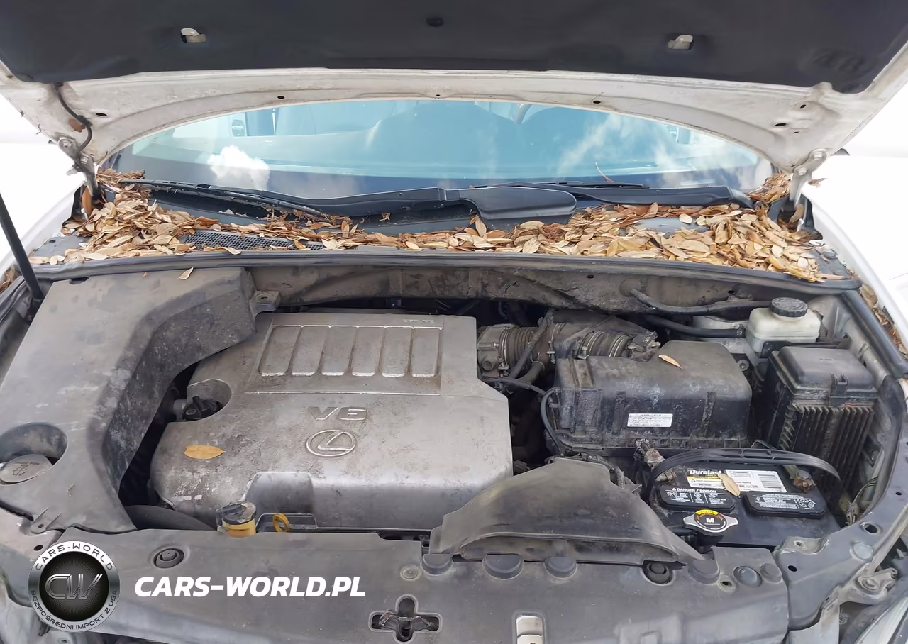 2007 Lexus Rx 350 VIN:2T2GK31U67C014945 - 10